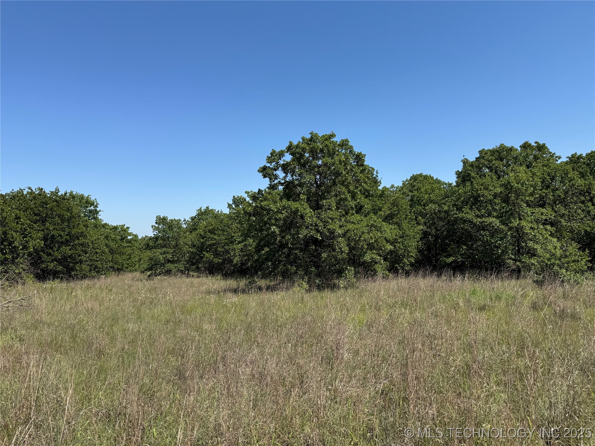 2668 Buck Horn Road Property Photo 32