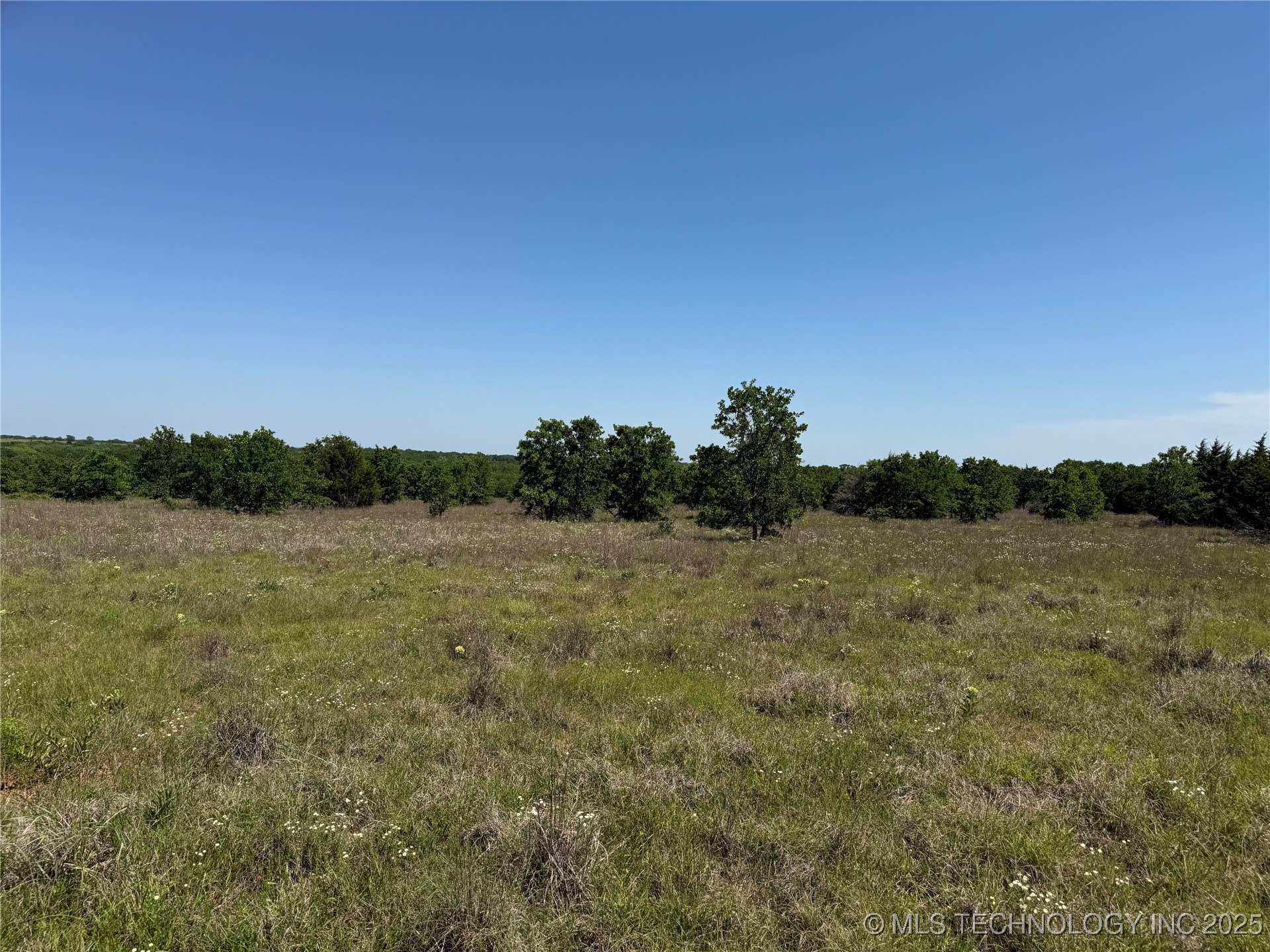 2668 Buck Horn Road Property Photo 34