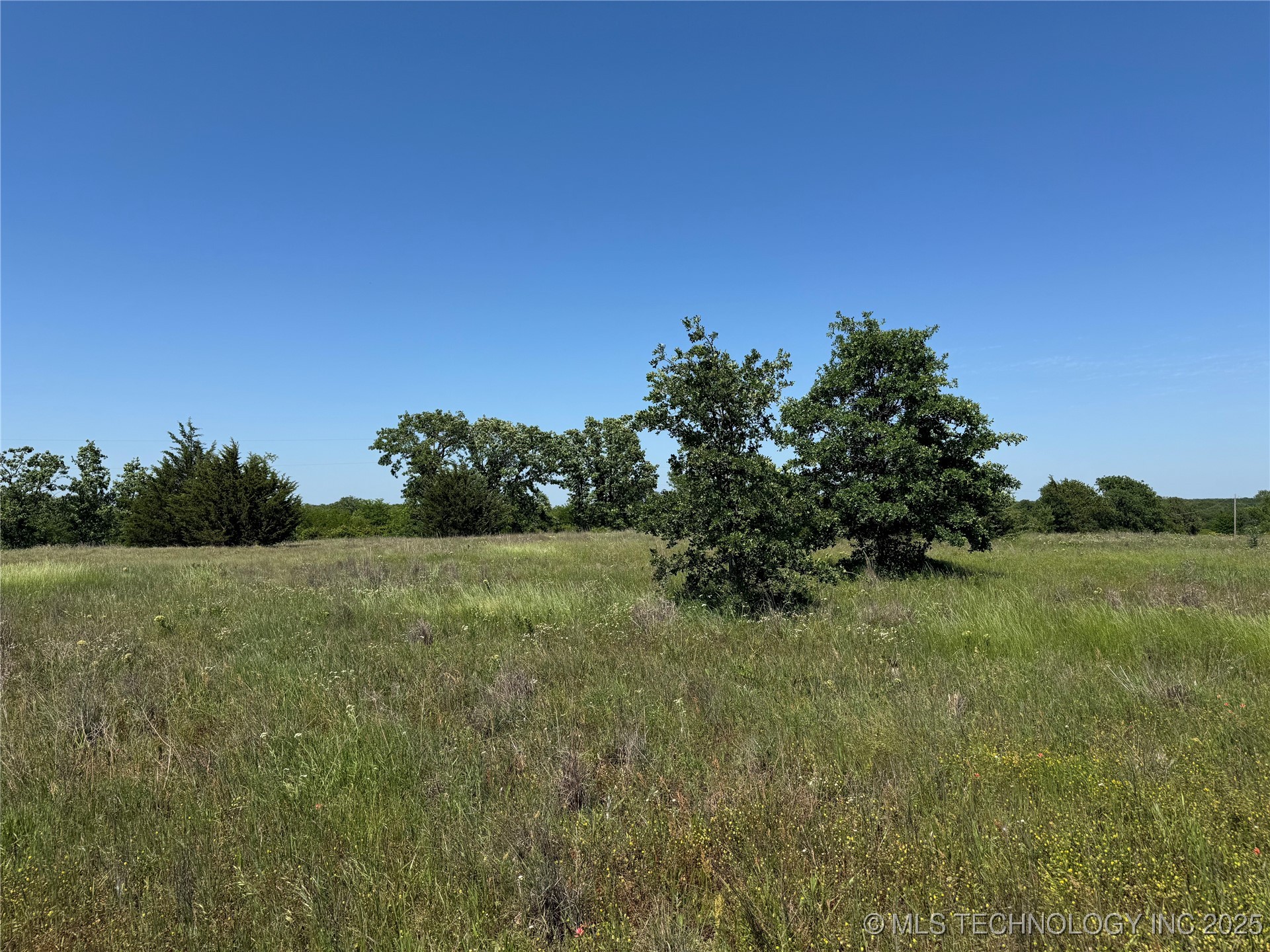 2668 Buck Horn Road Property Photo 36