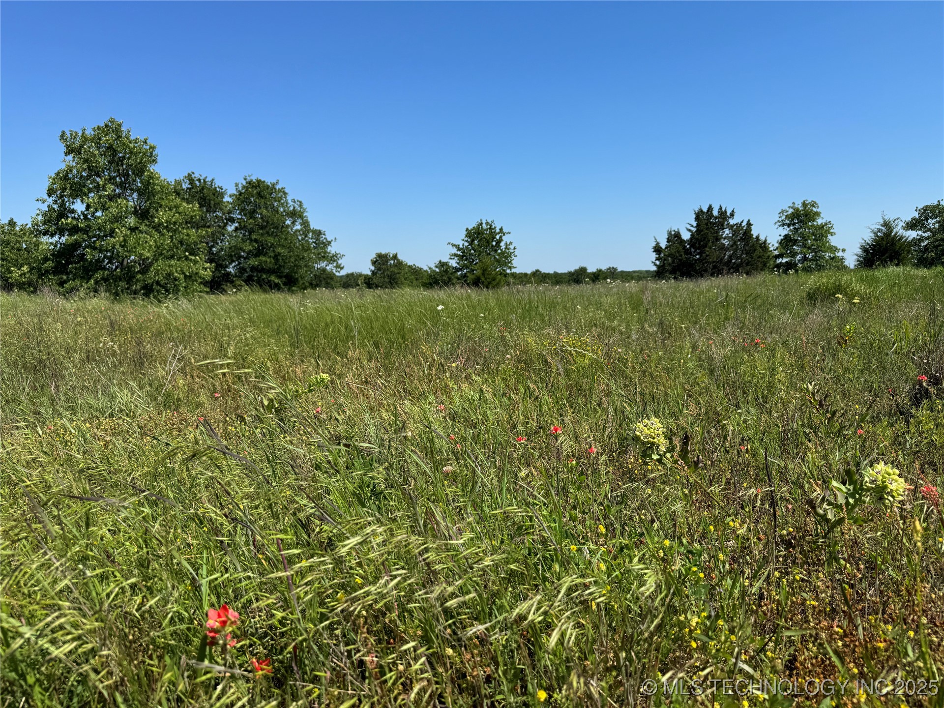 2668 Buck Horn Road Property Photo 37