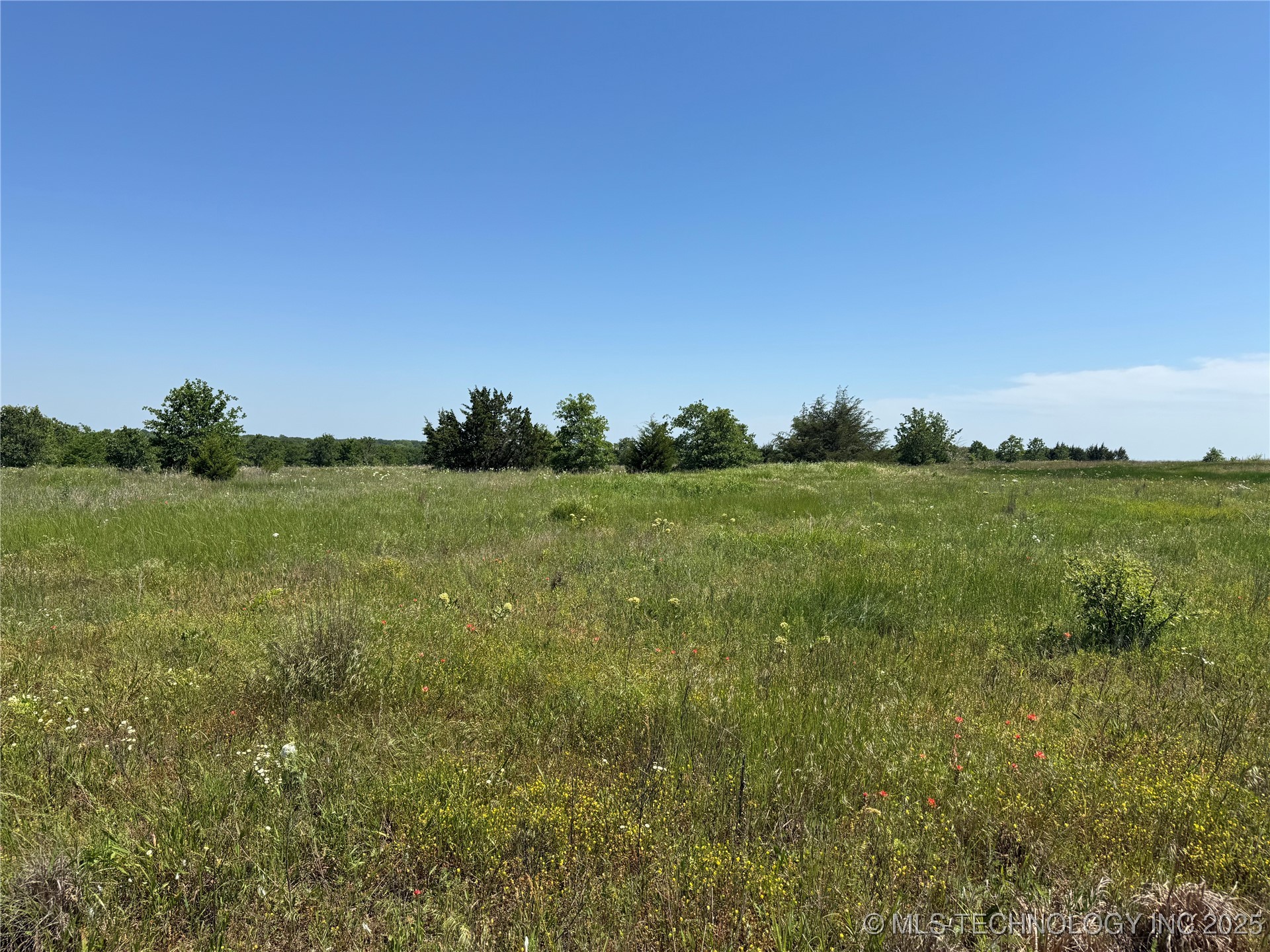 2668 Buck Horn Road Property Photo 39