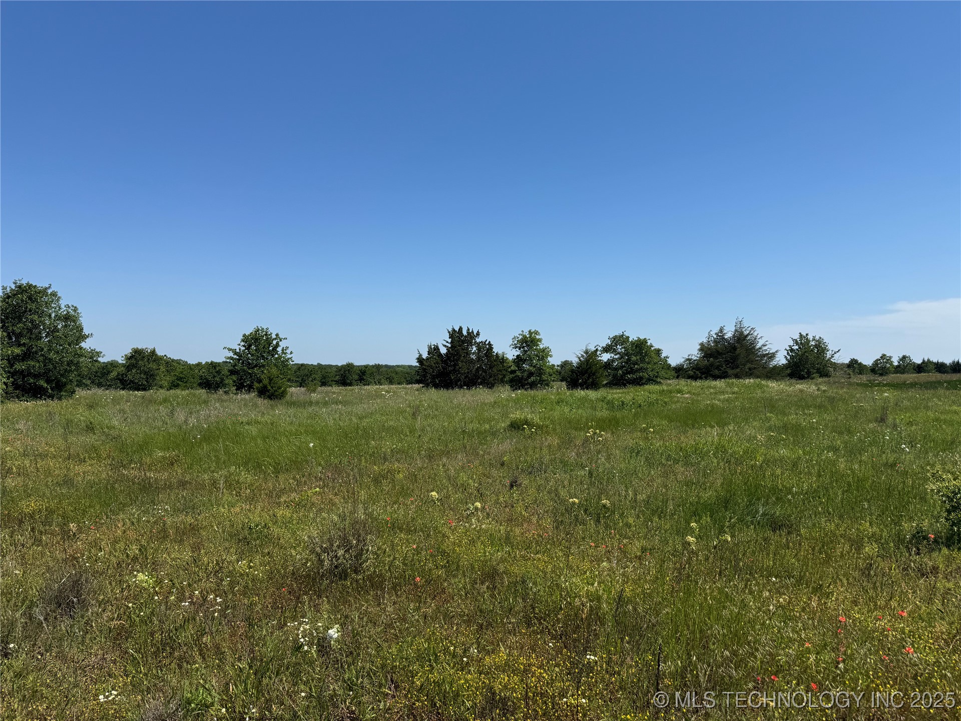 2668 Buck Horn Road Property Photo 40