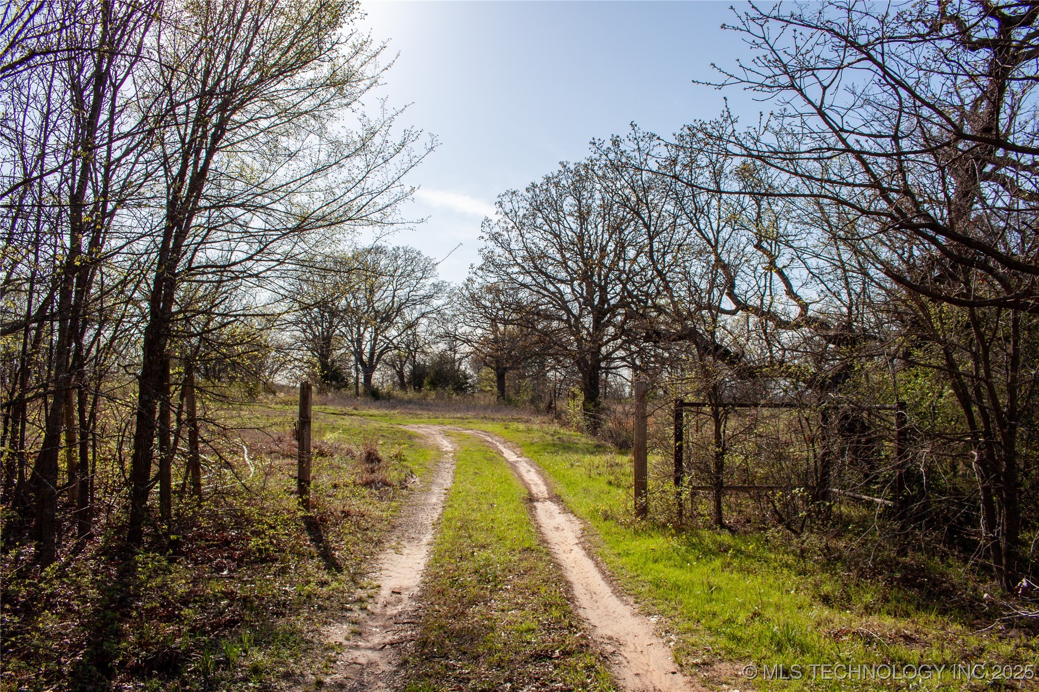 2521954 Property Photo 4