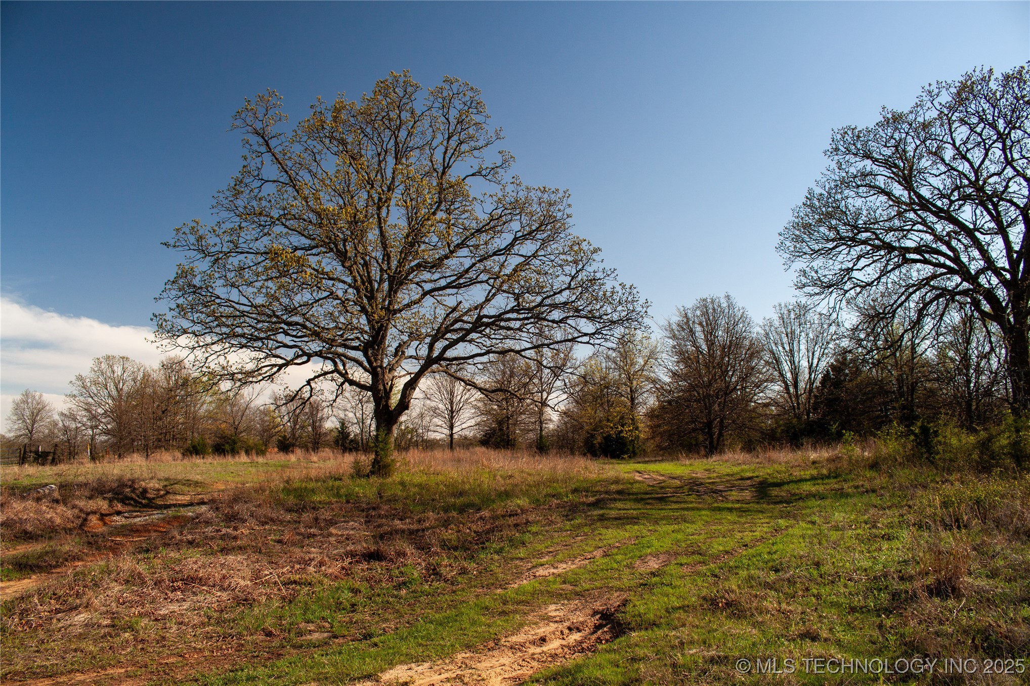 2521954 Property Photo 6