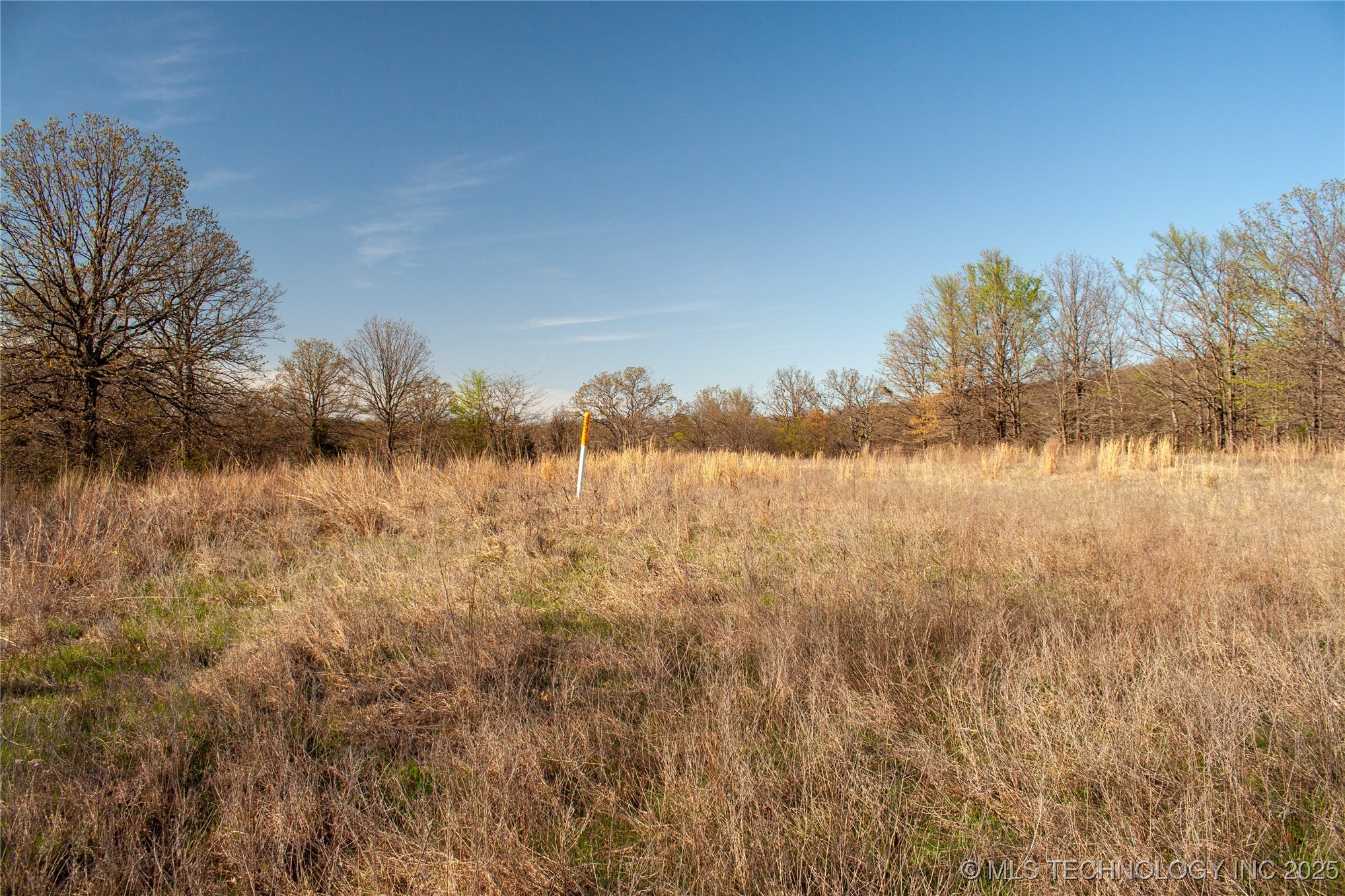 2521954 Property Photo 7