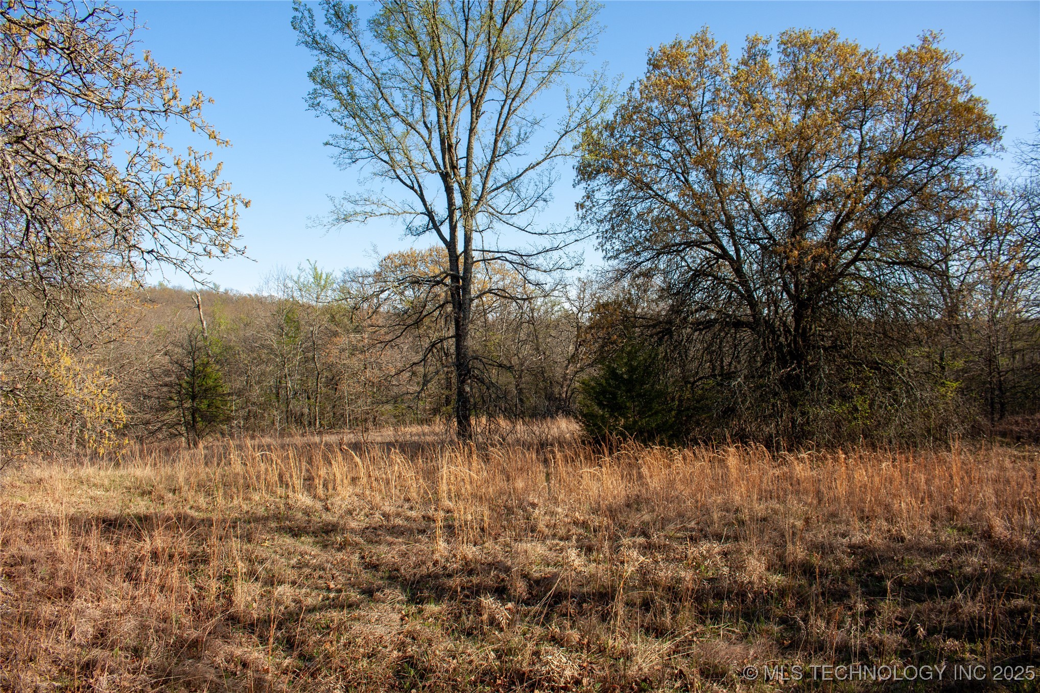 2521954 Property Photo 9