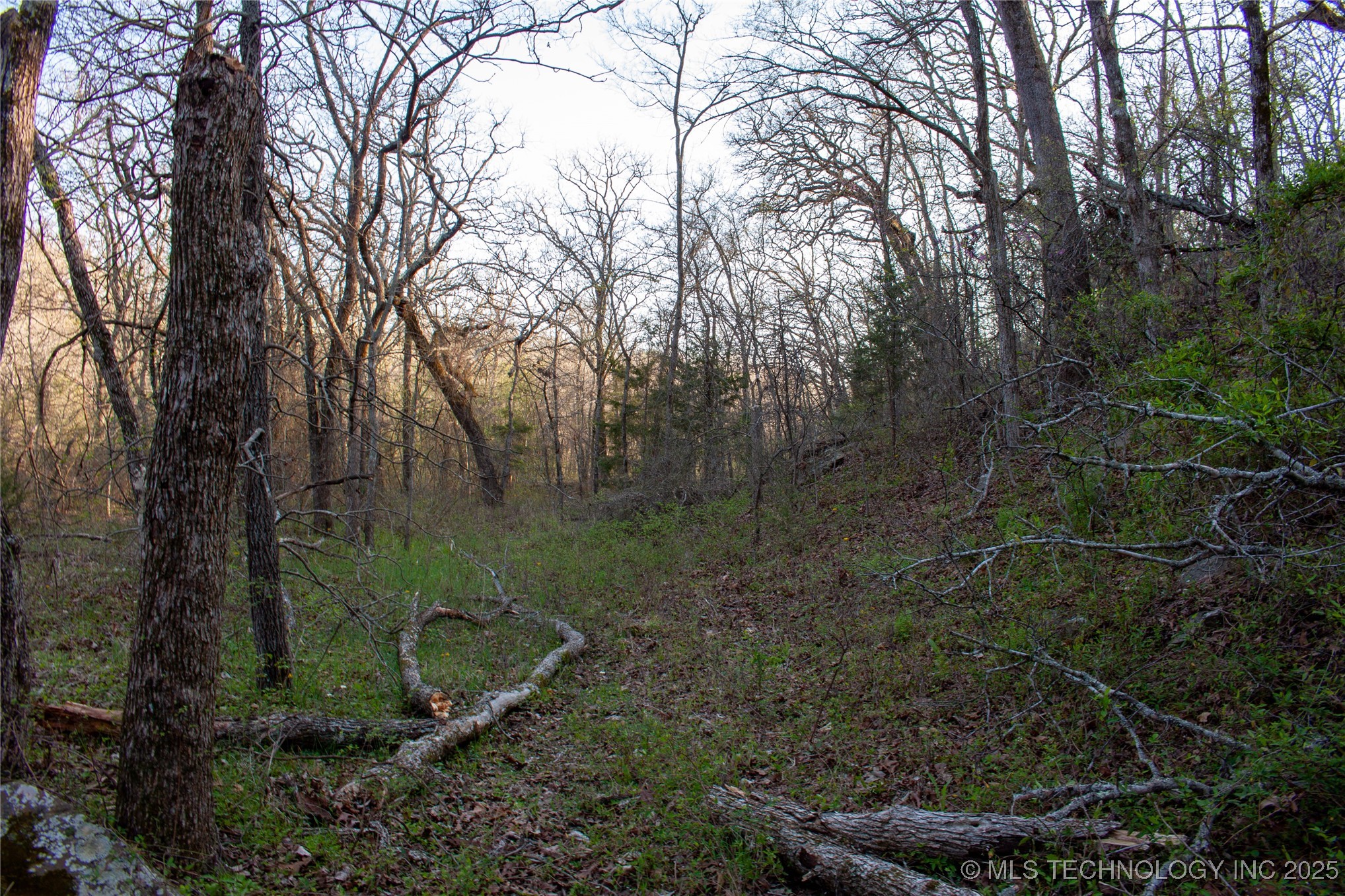 2521954 Property Photo 11