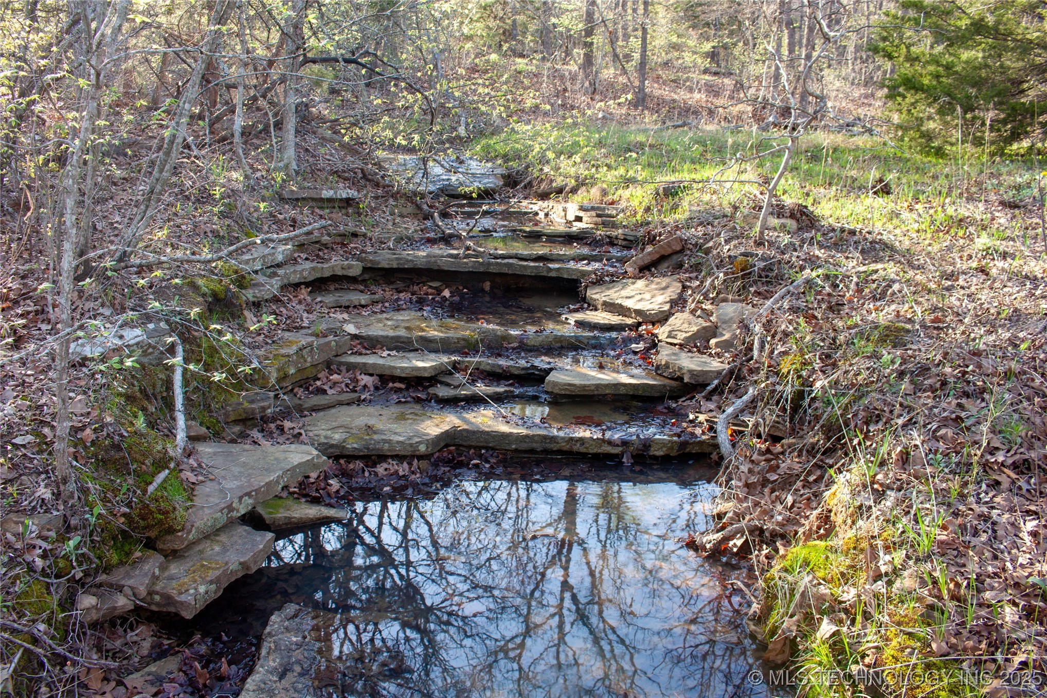 2521954 Property Photo 12