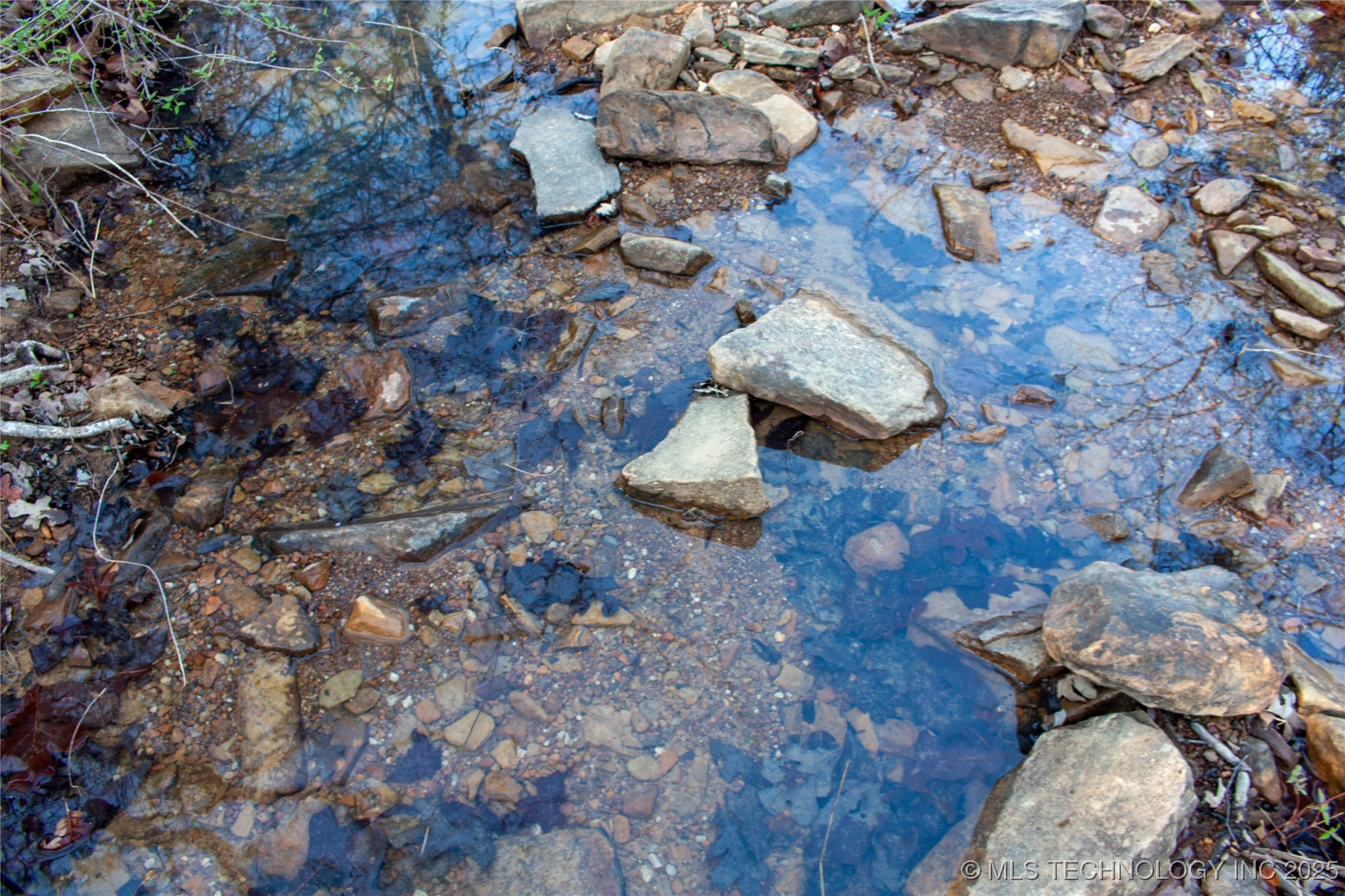 2521954 Property Photo 13