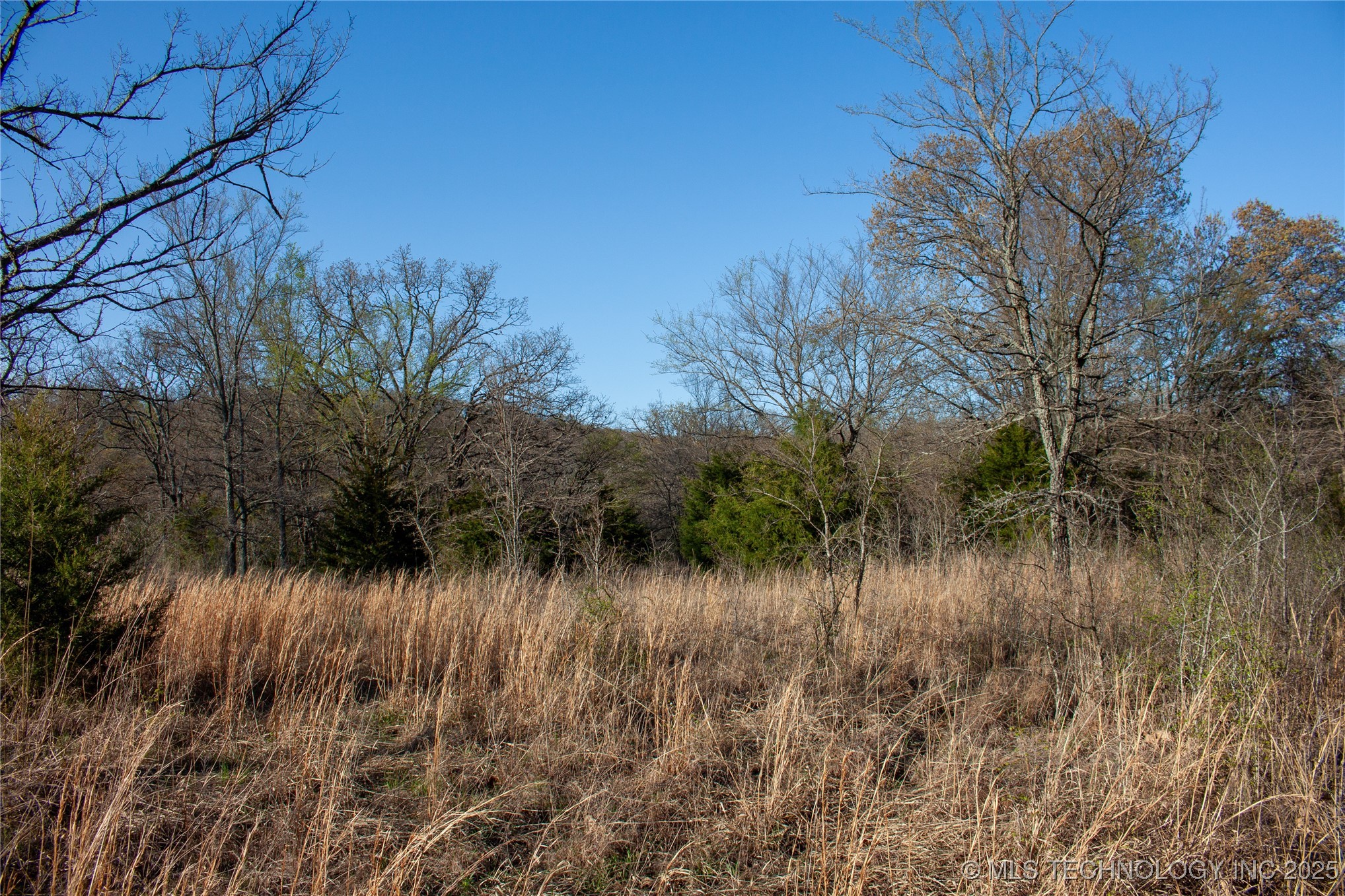 2521954 Property Photo 14