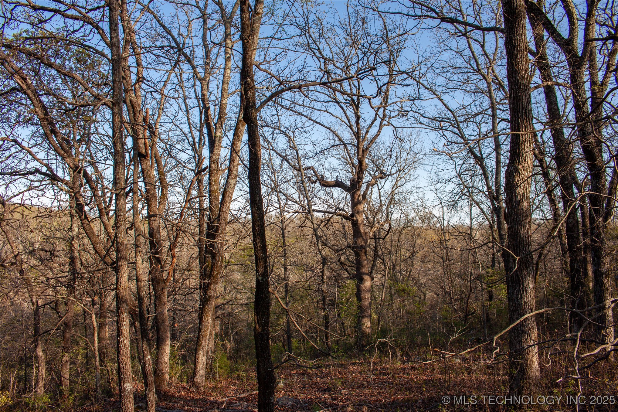 2521954 Property Photo 15