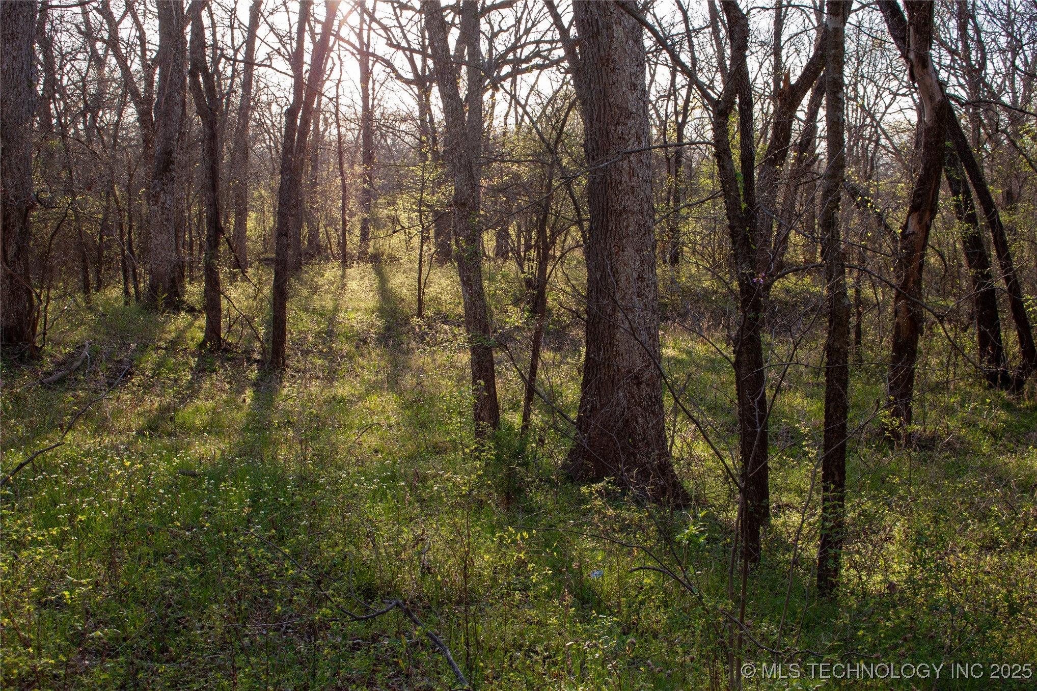 2521954 Property Photo 16