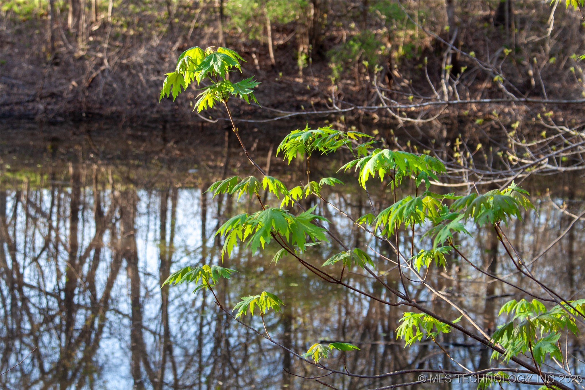 2521954 Property Photo 17
