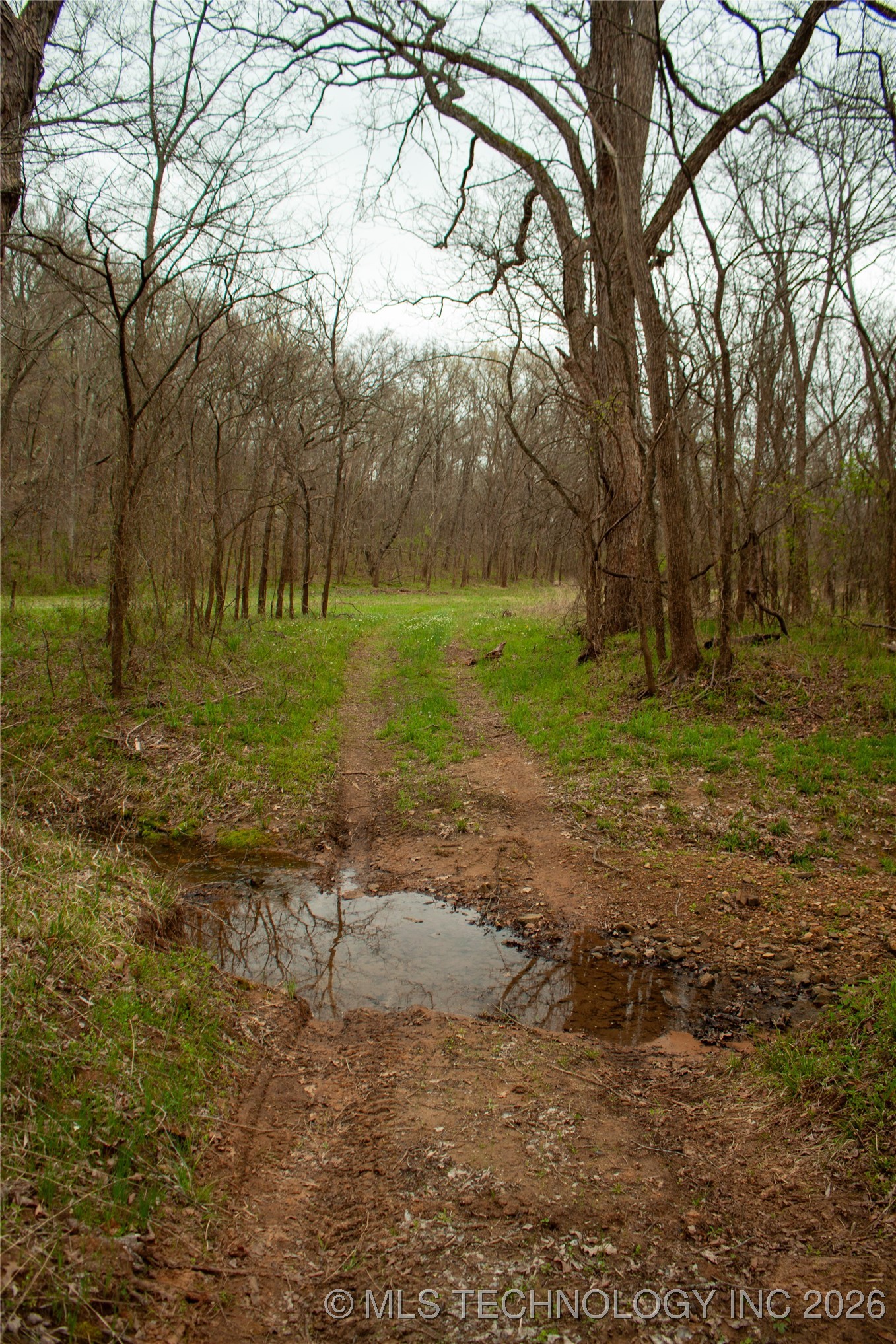 2521954 Property Photo 18