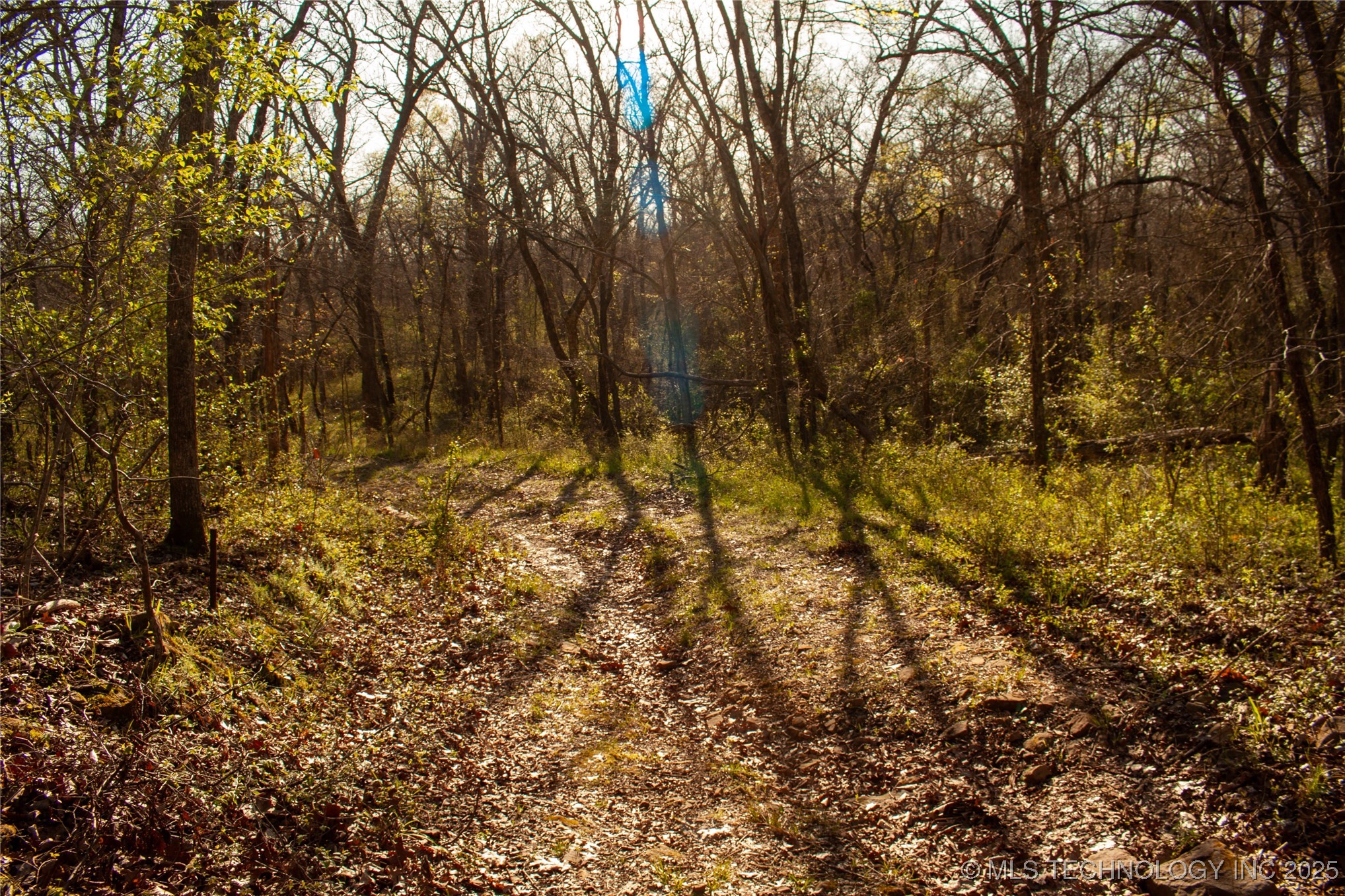 2521954 Property Photo 20
