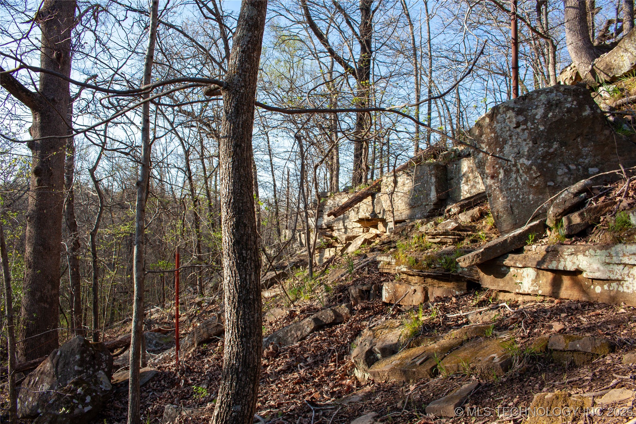 2521954 Property Photo 21