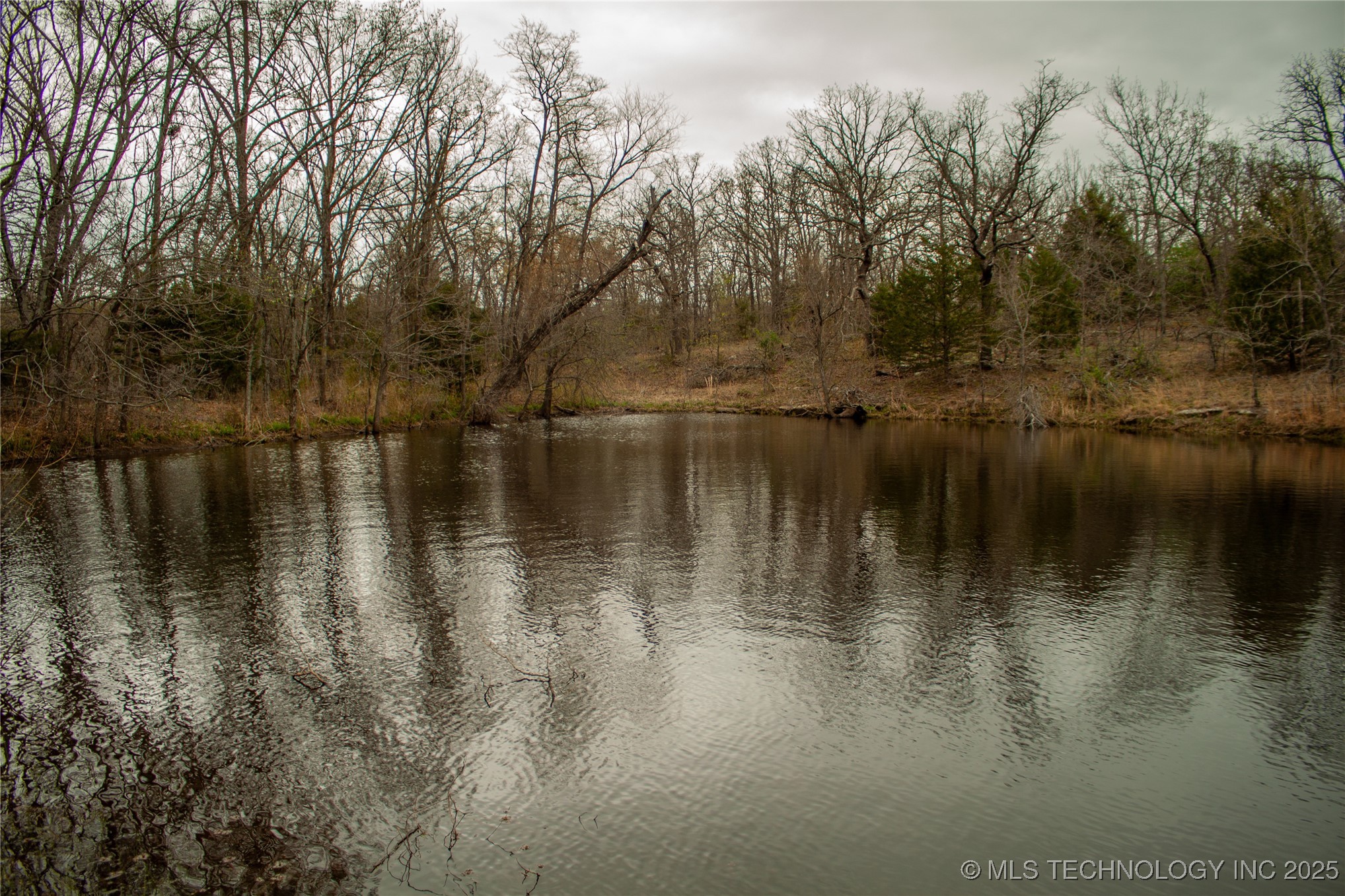 2521954 Property Photo 22