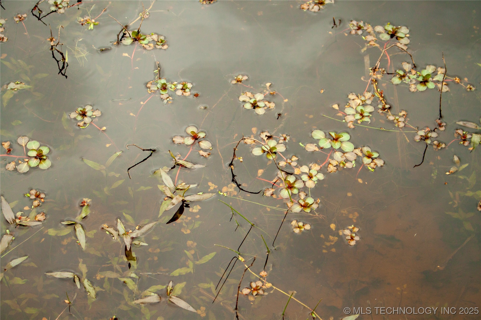 2521954 Property Photo 23
