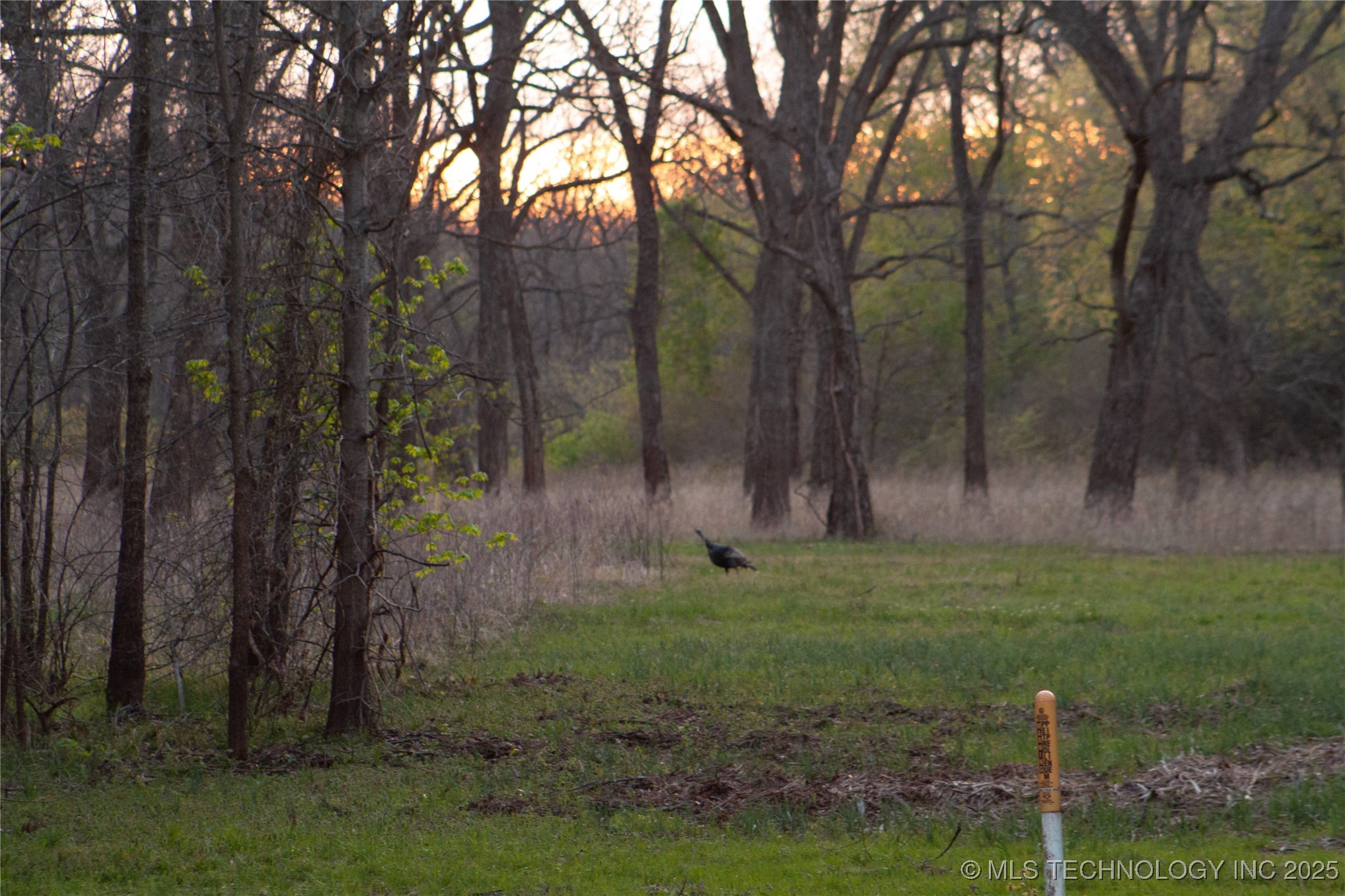 2521954 Property Photo 24