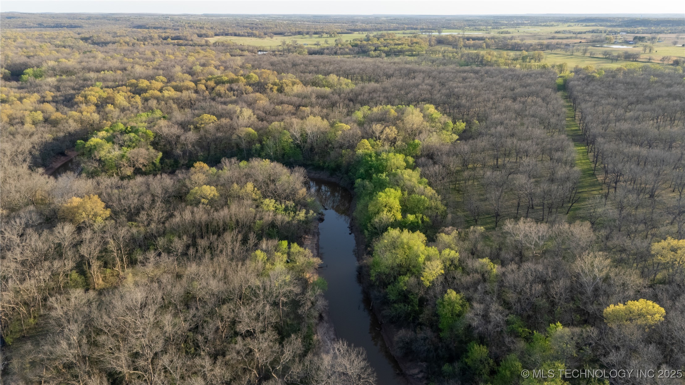 2521954 Property Photo 25