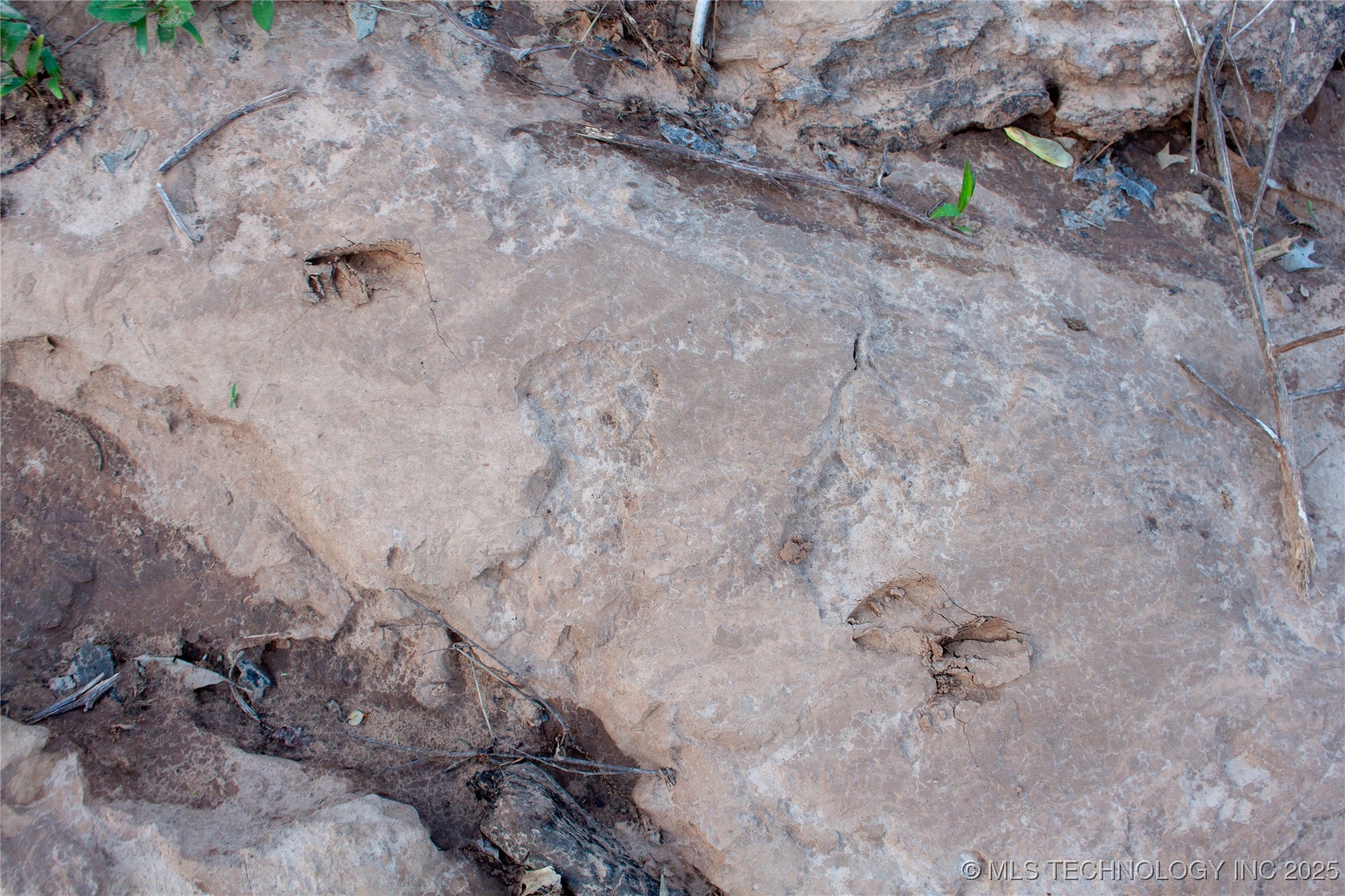 2521954 Property Photo 26