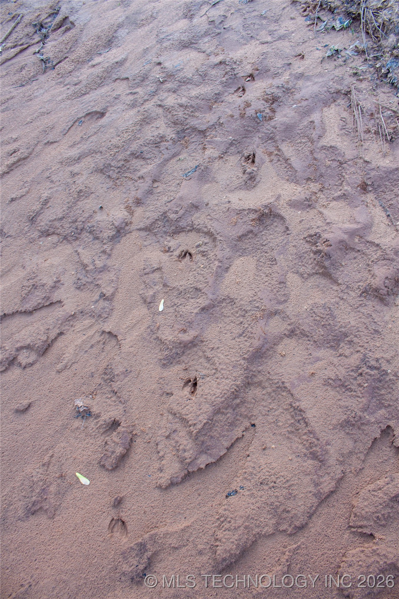 2521954 Property Photo 27