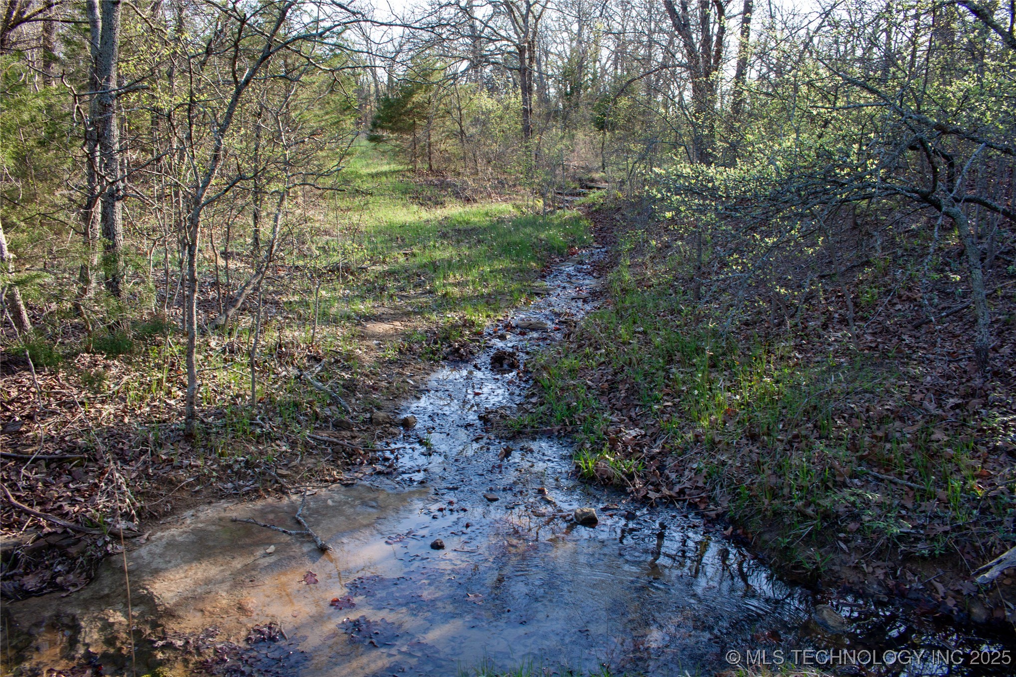 2521954 Property Photo 28