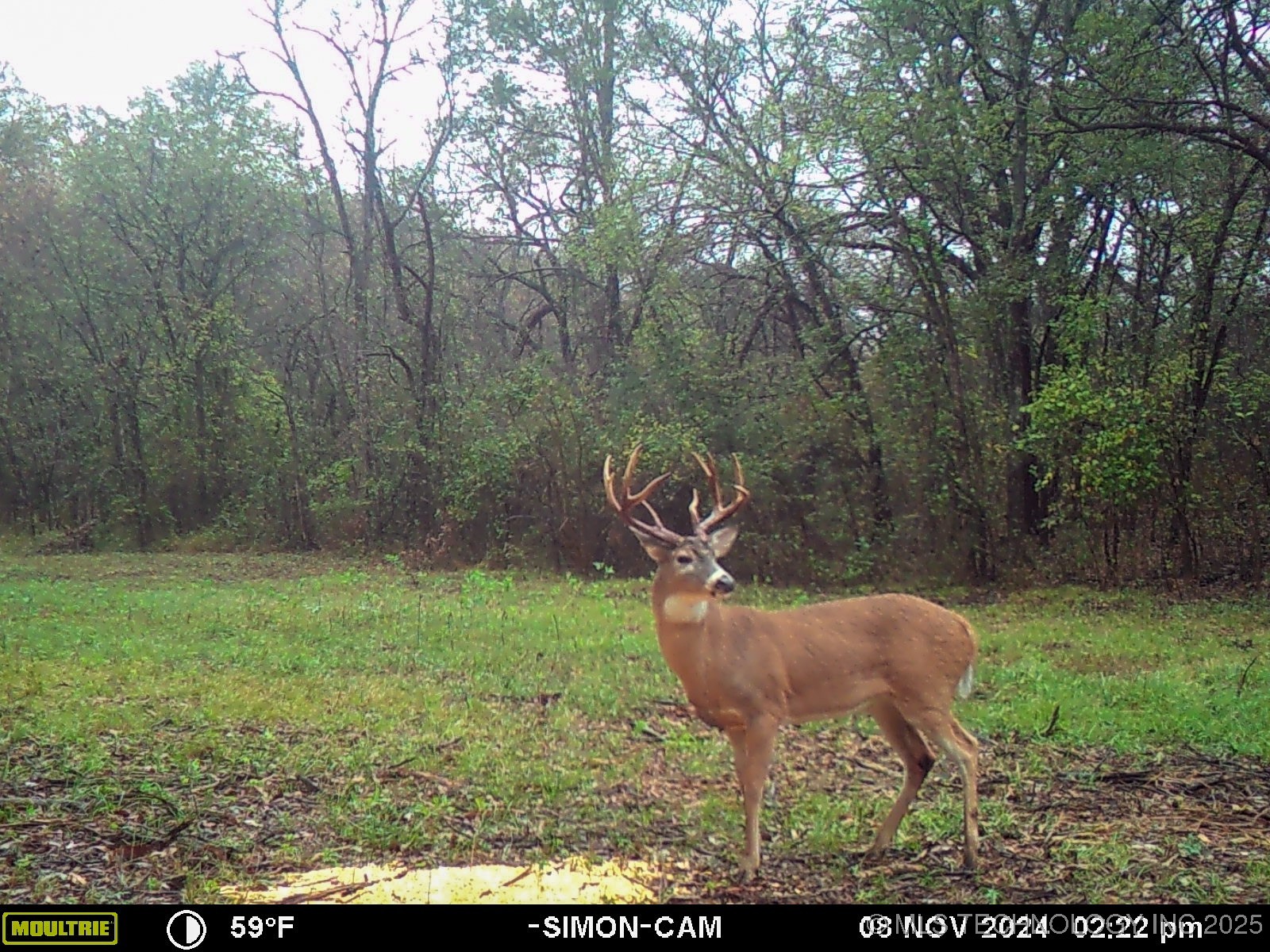 2521954 Property Photo 29