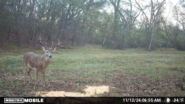 2521954 Property Photo 30