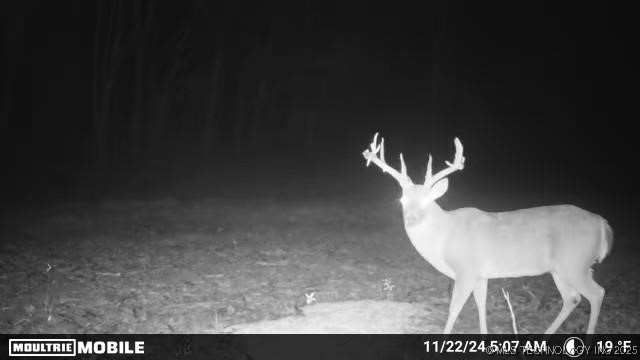 2521954 Property Photo 31