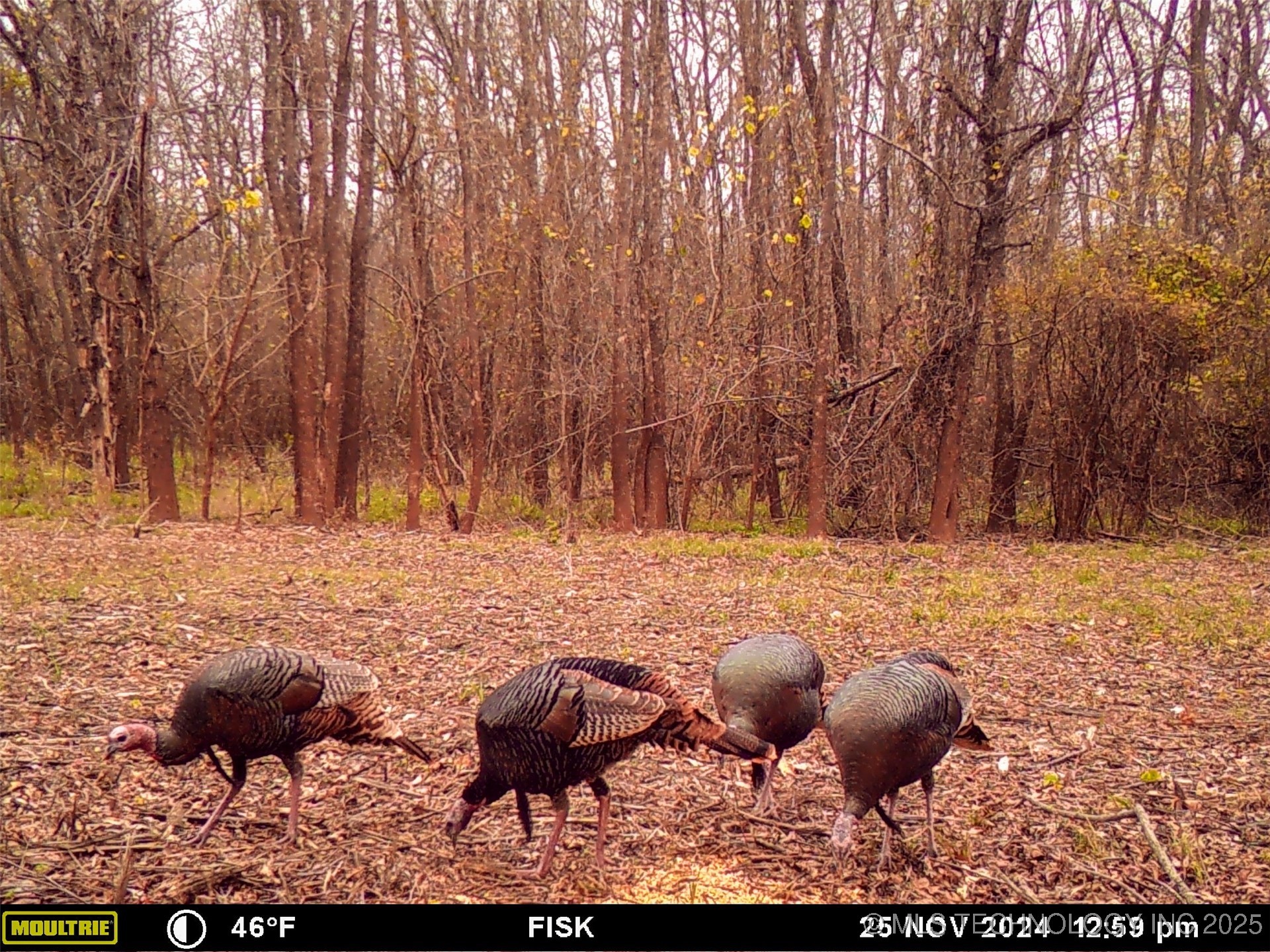 2521954 Property Photo 32