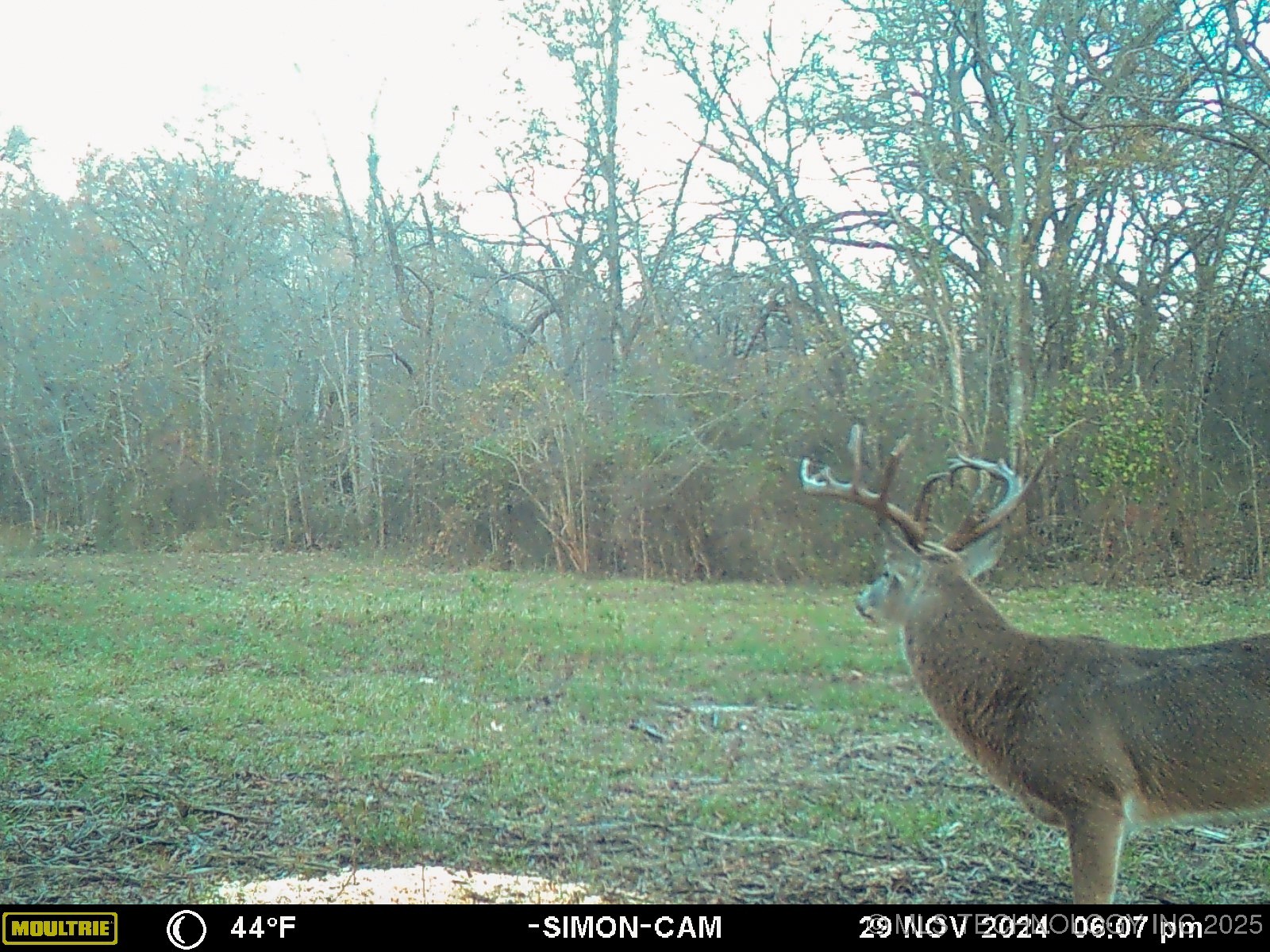 2521954 Property Photo 33