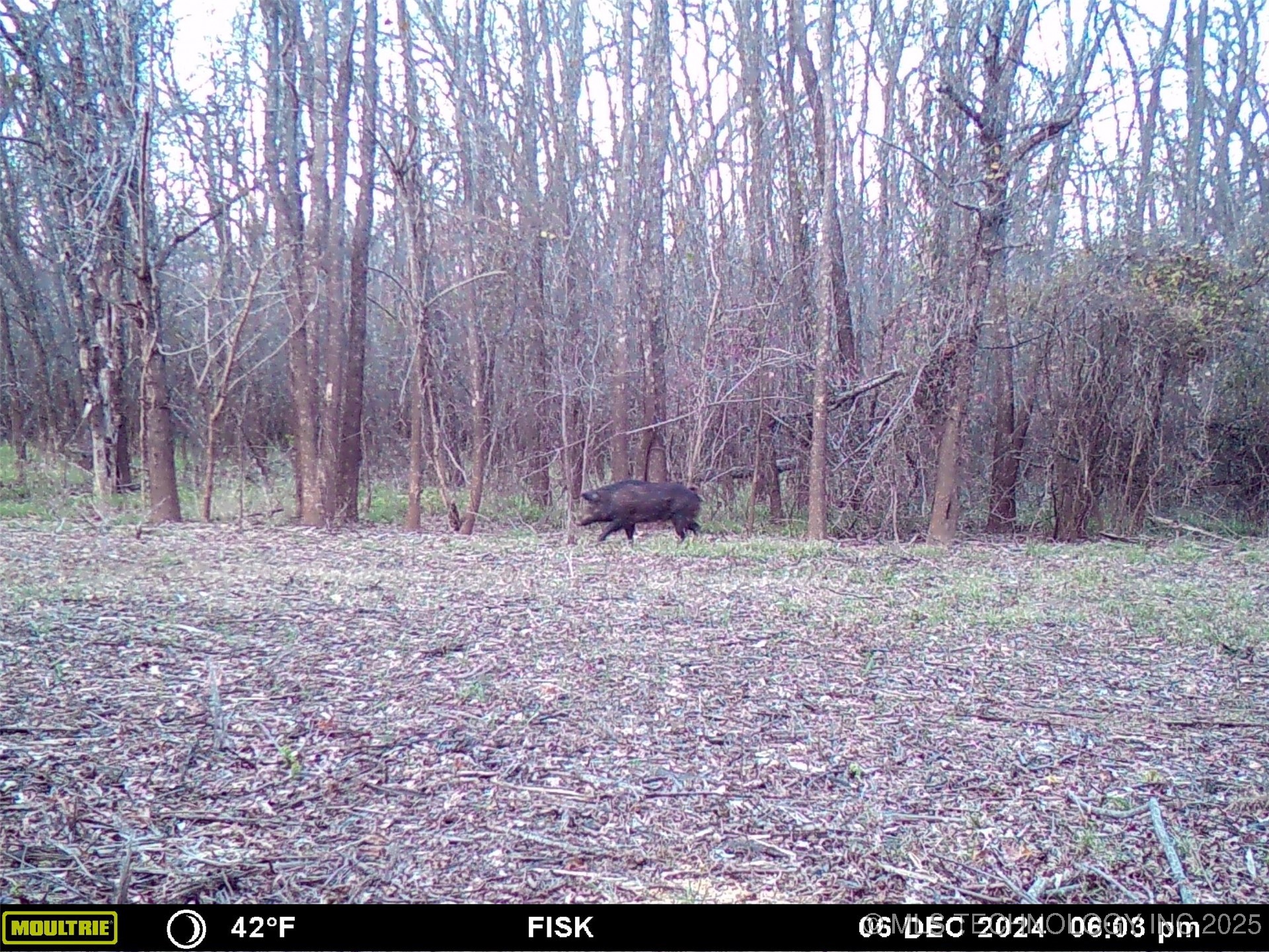 2521954 Property Photo 34