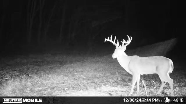 2521954 Property Photo 35