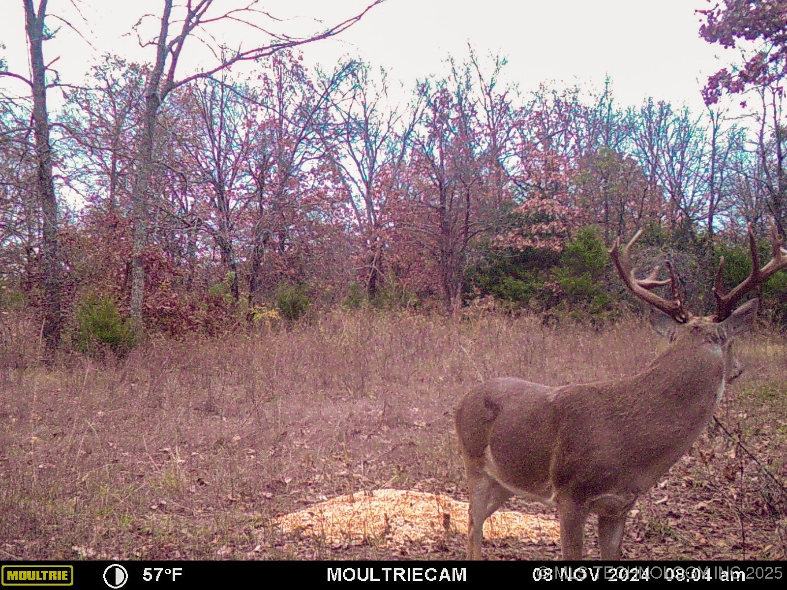 2521954 Property Photo 36