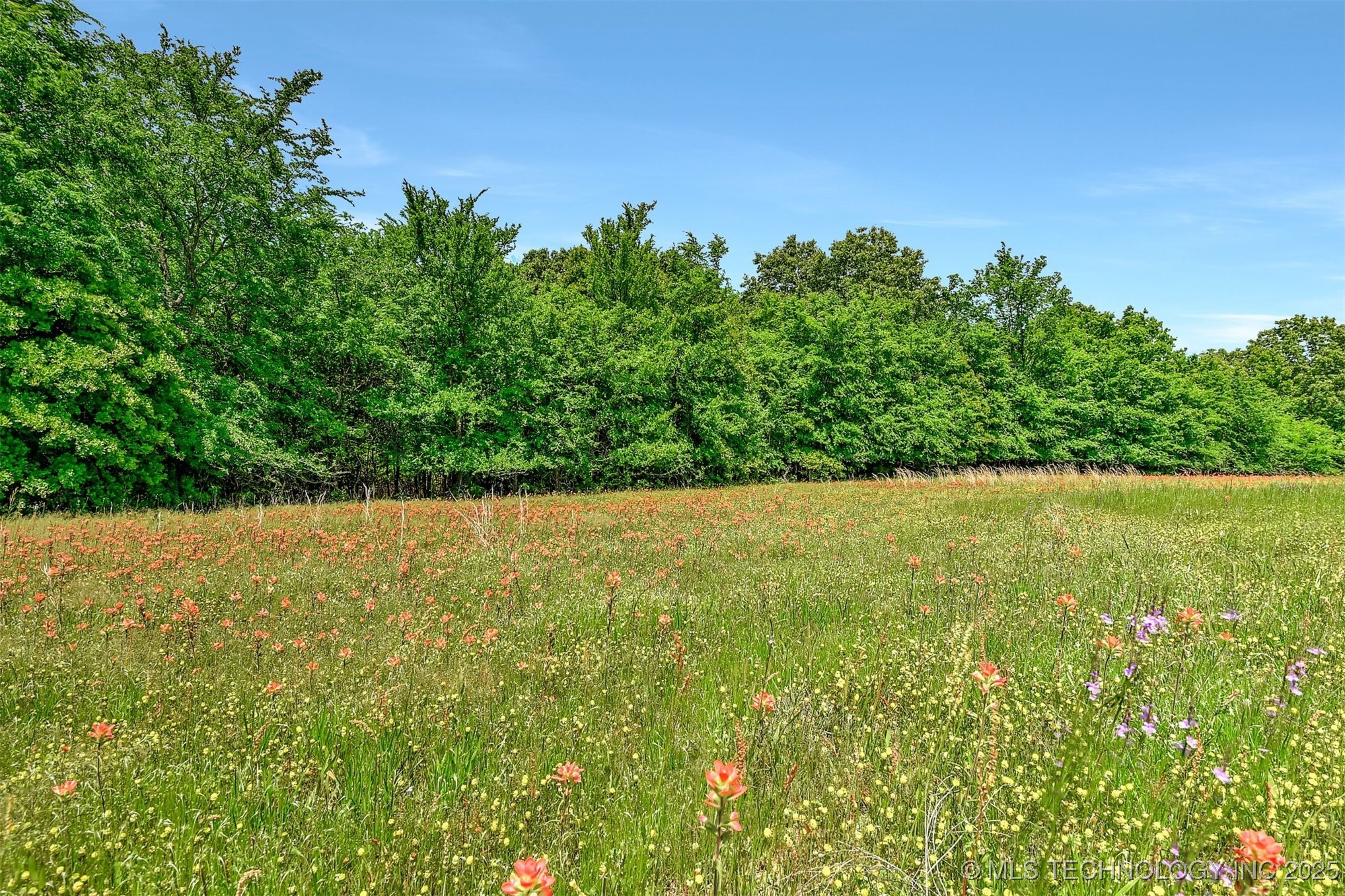 900 W Hardesty Road Property Photo 36