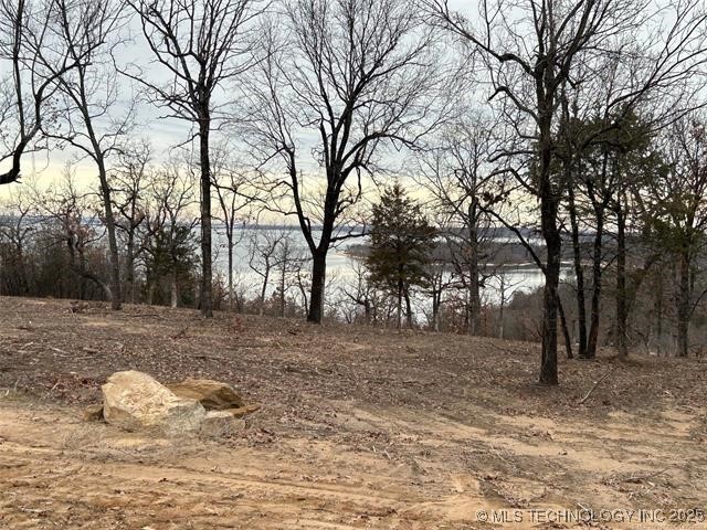 229 Patriot Pointe Property Photo 8