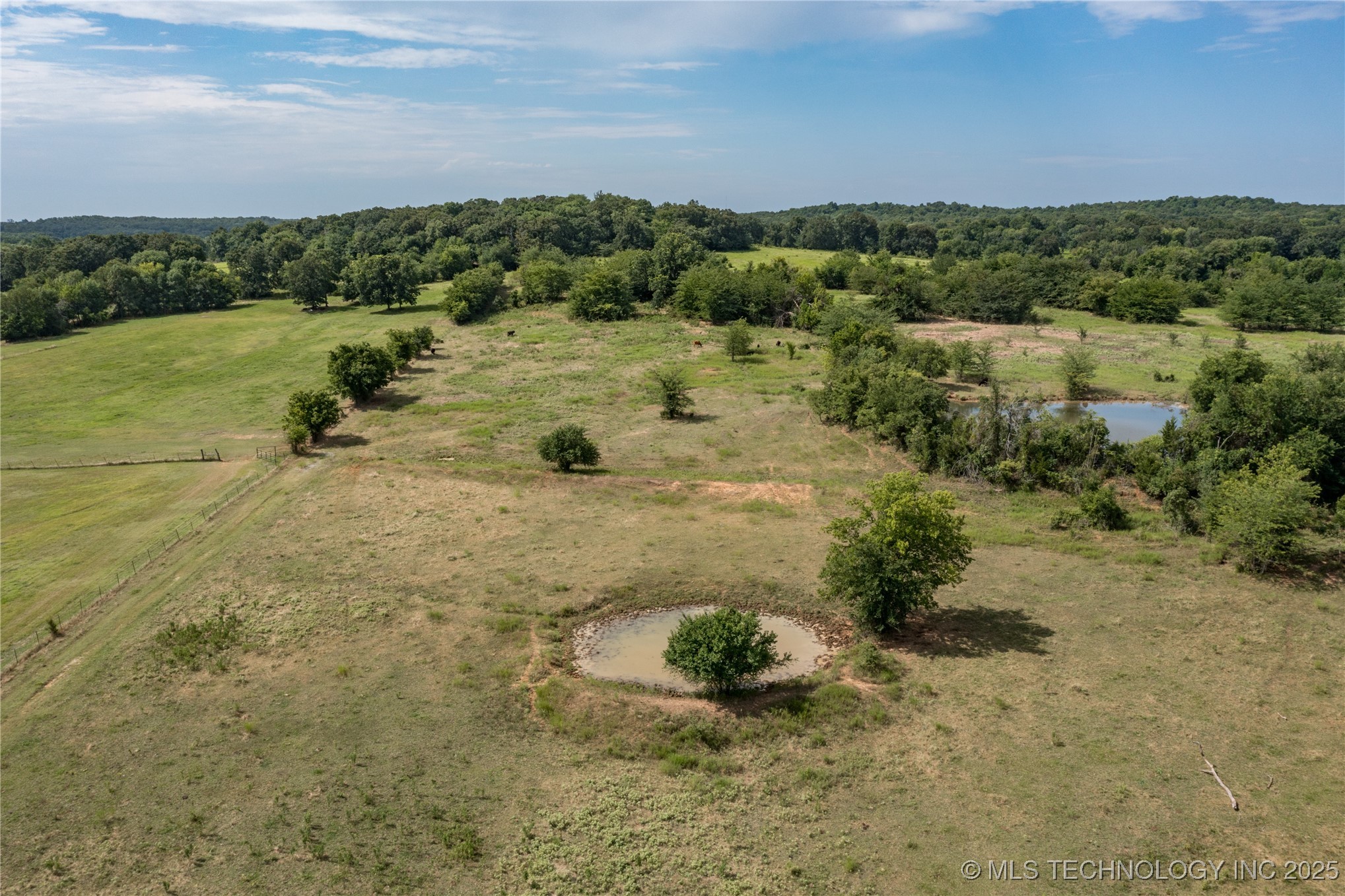 Forest Lane Property Photo 6