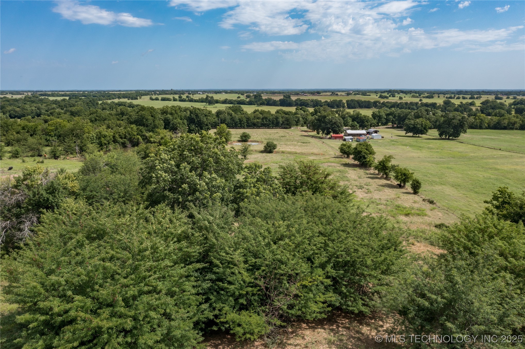 Forest Lane Property Photo 7