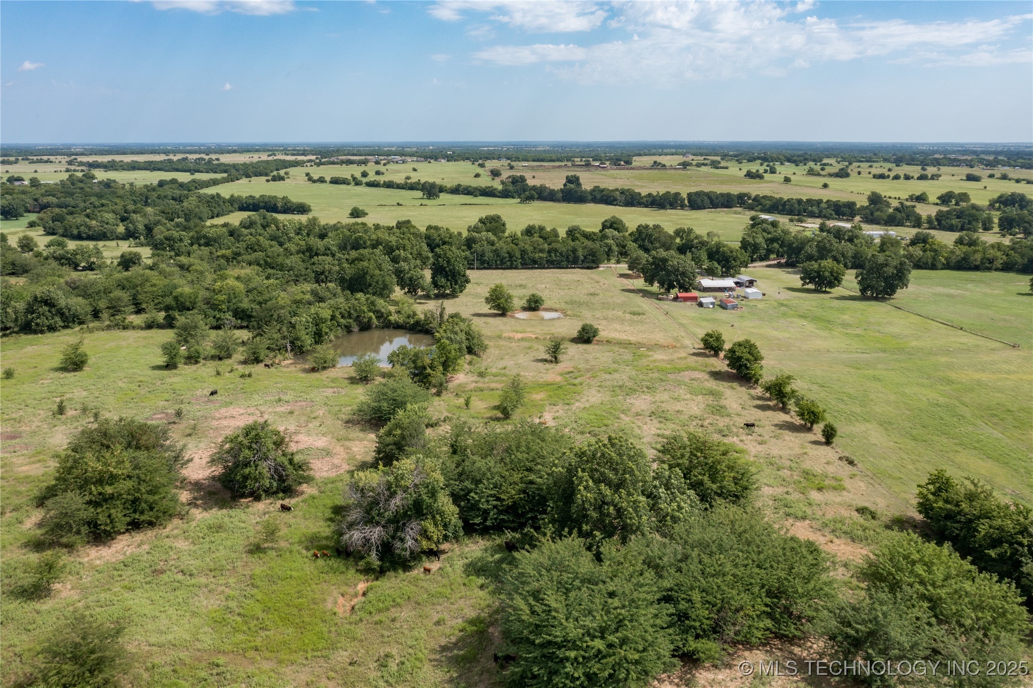 Forest Lane Property Photo 8