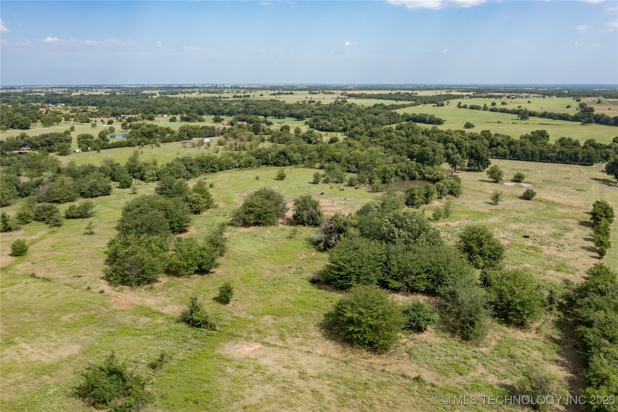 Forest Lane Property Photo 9