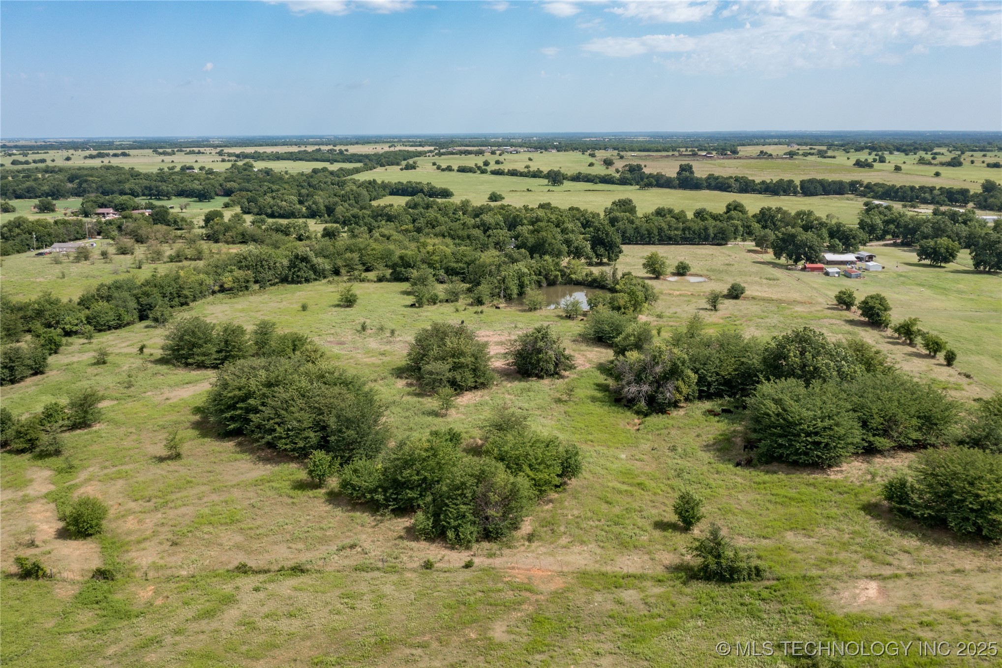 Forest Lane Property Photo 10