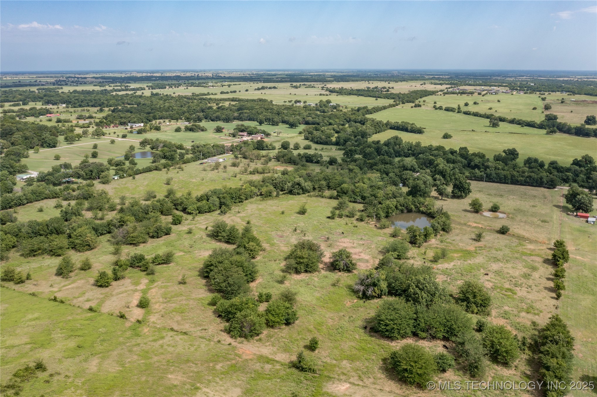 Forest Lane Property Photo 14