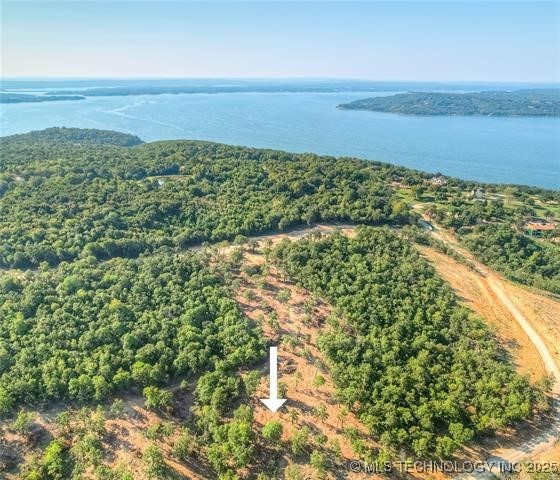 239 Patriot Pointe Property Photo 3