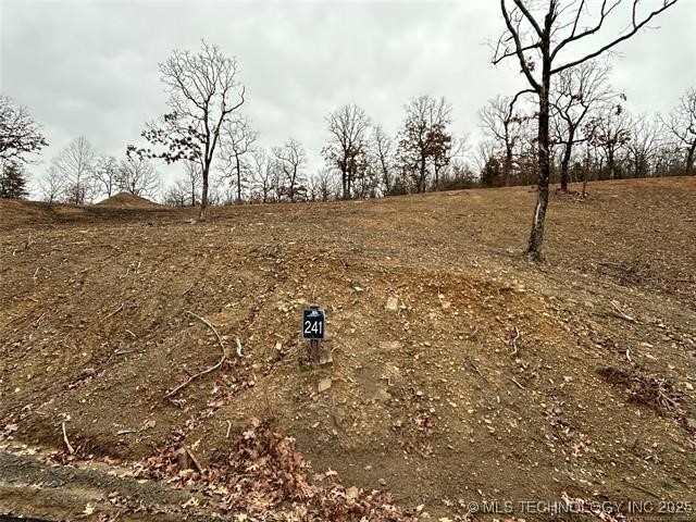 241 Patriot Pointe Property Photo 4