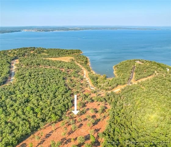 242 Patriot Pointe Property Photo 3