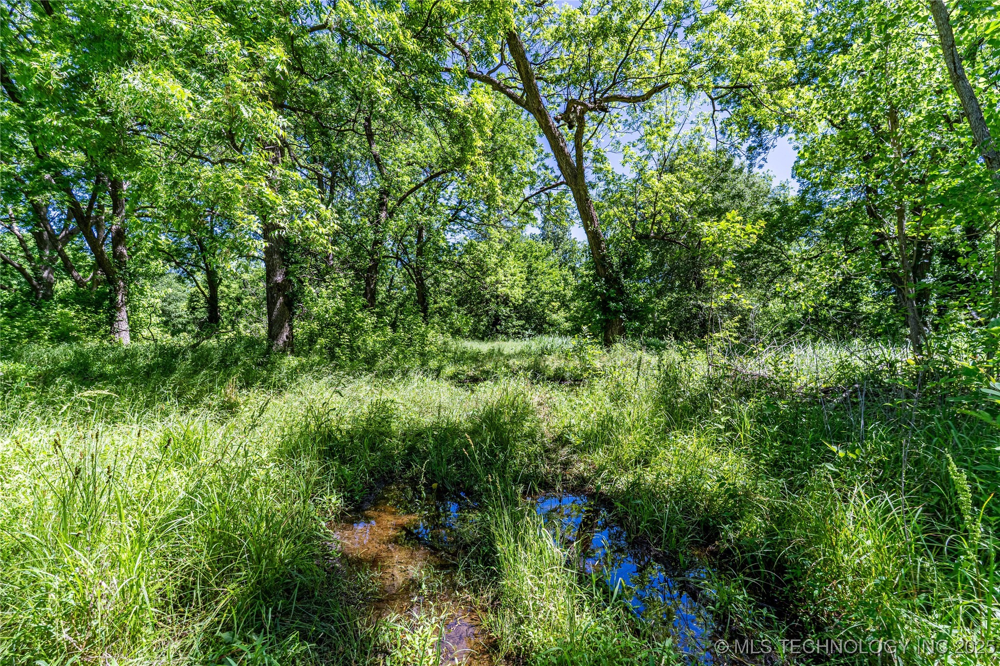 0000 E Main Street Property Photo 5