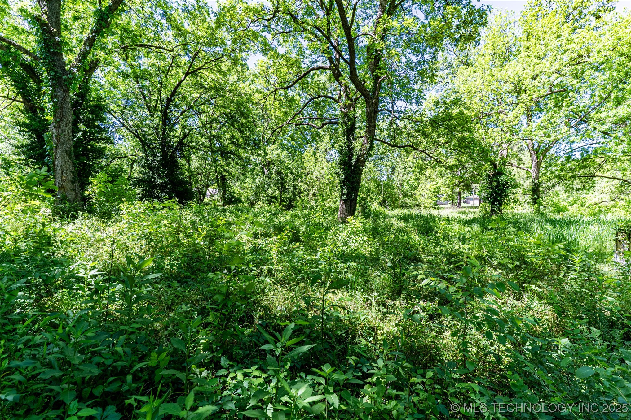 0000 E Main Street Property Photo 9