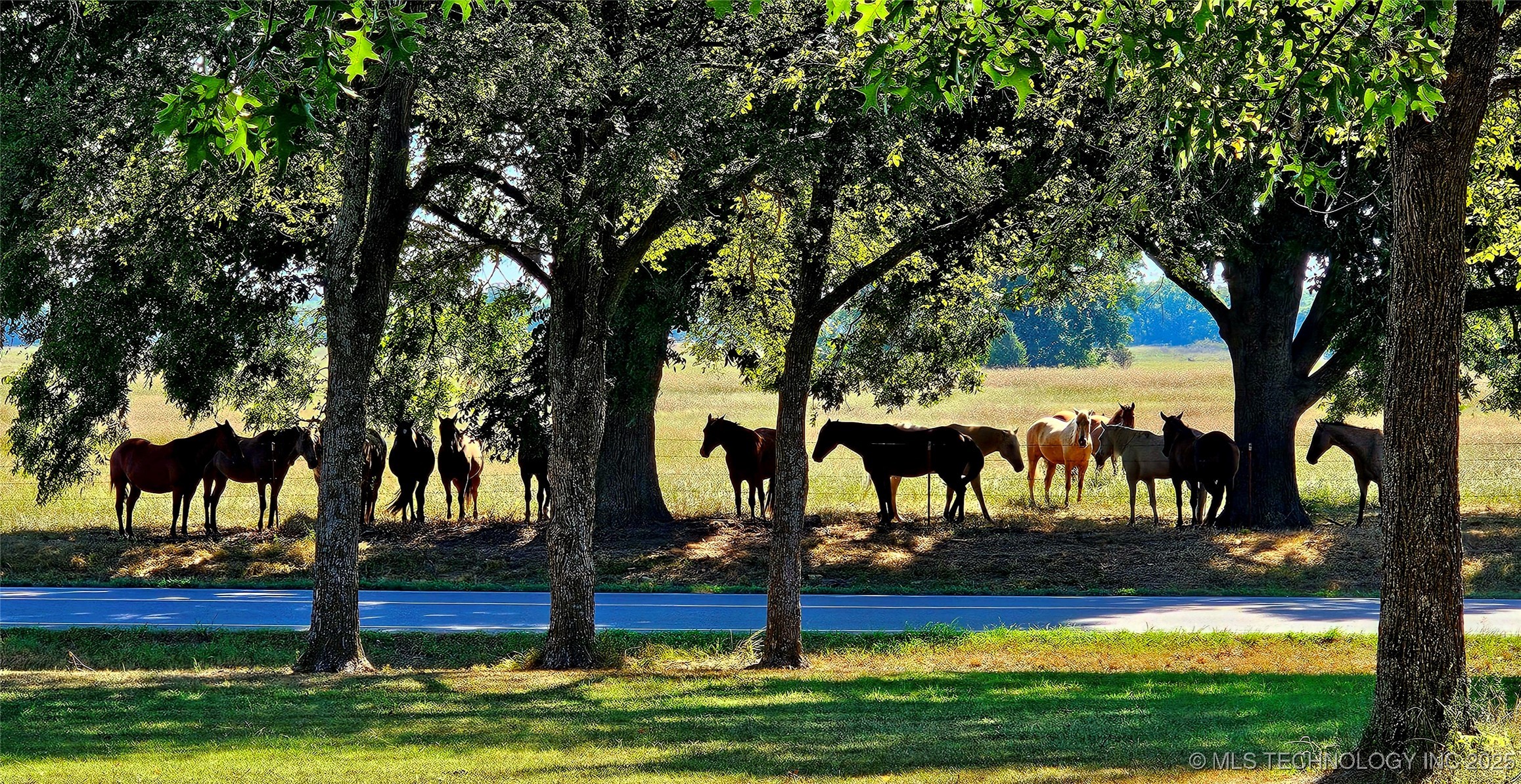 421975 E 1155 Road Property Photo 10