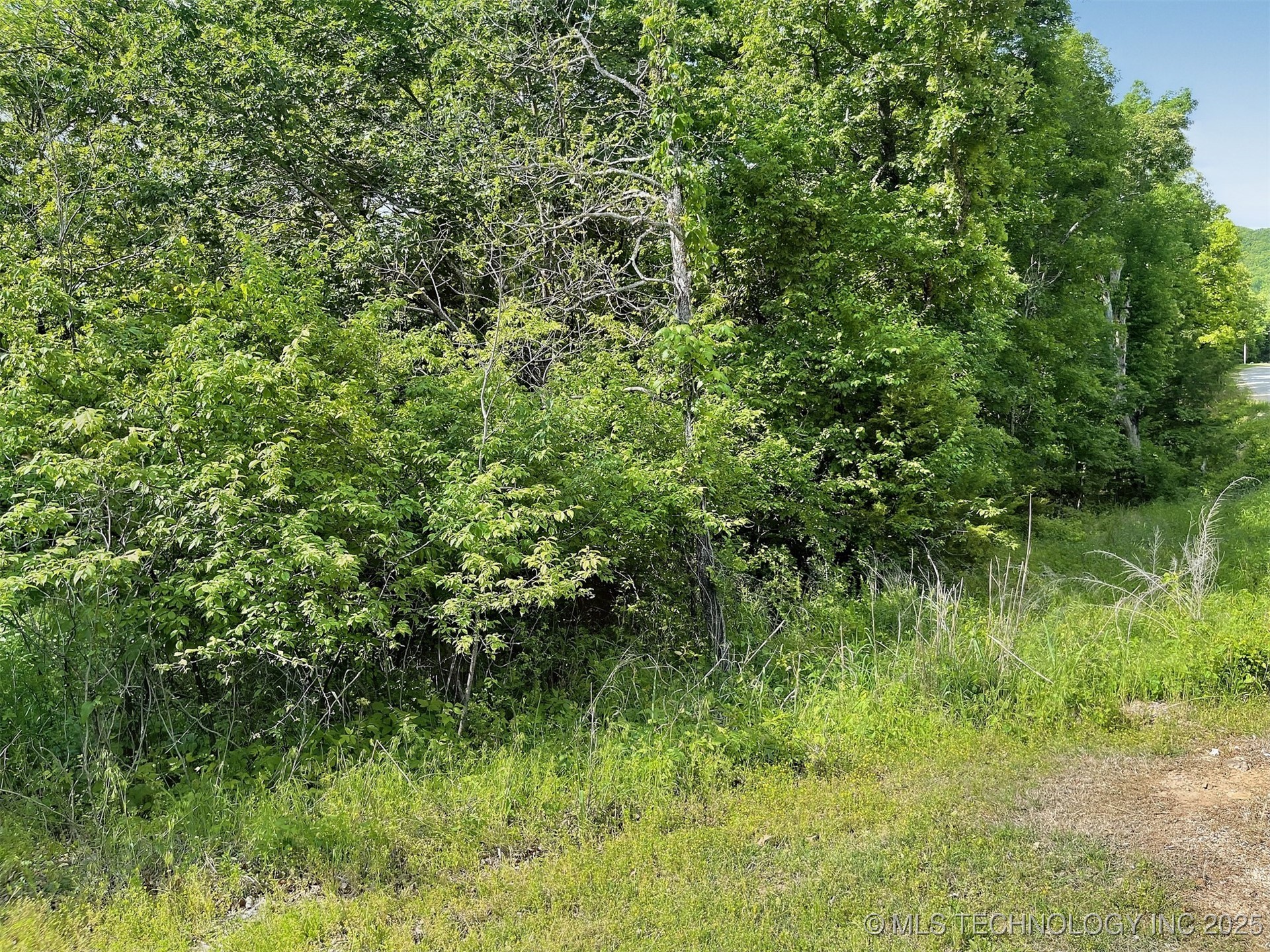 S Hickory Lane Property Photo 4